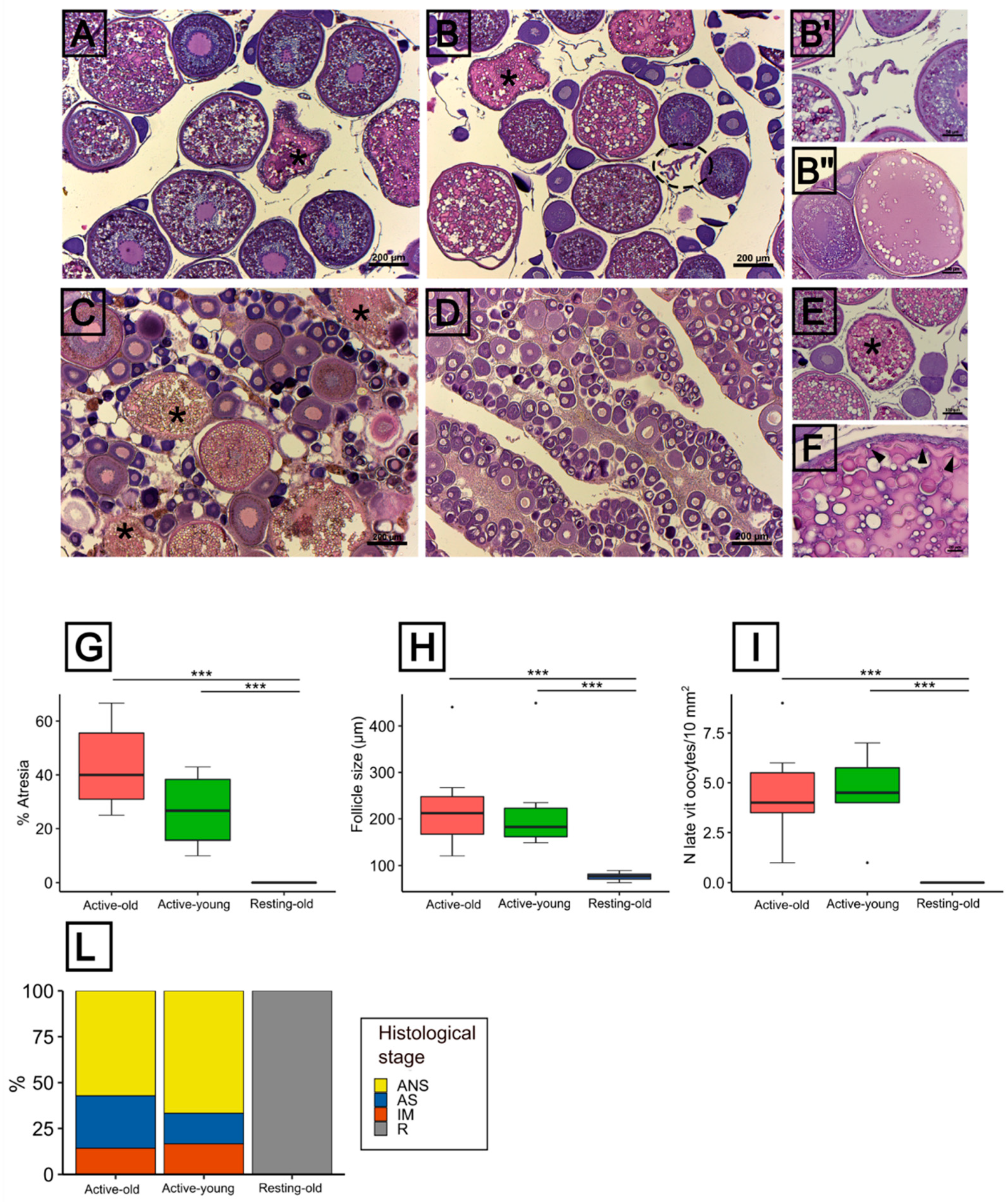 Animals 11 03340 g003 Animals 11 03340 g003