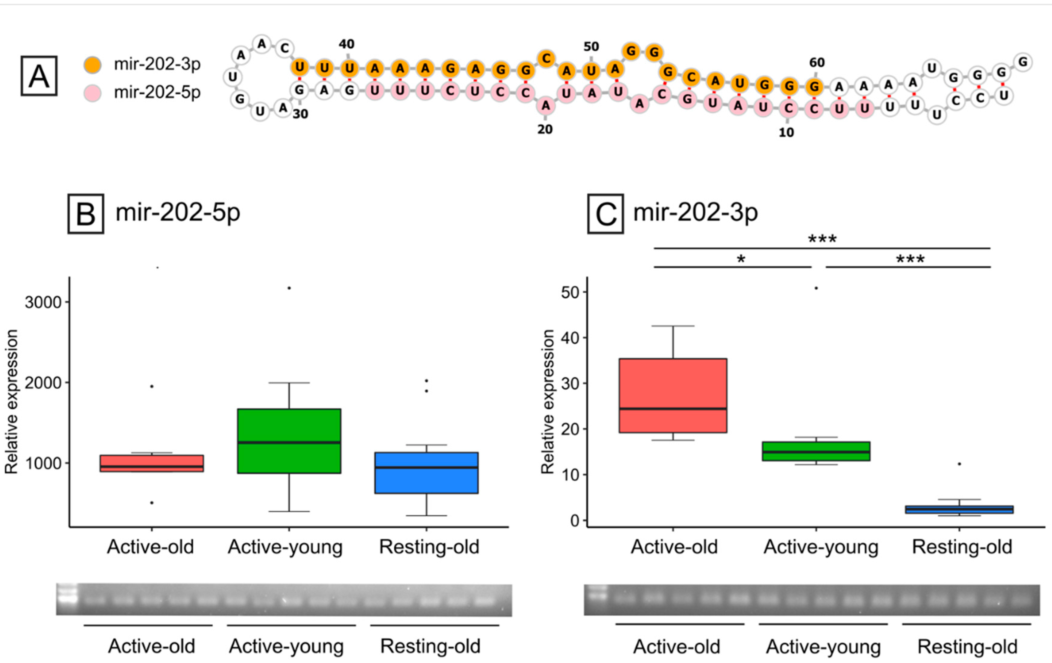 Animals 11 03340 g004 Animals 11 03340 g004