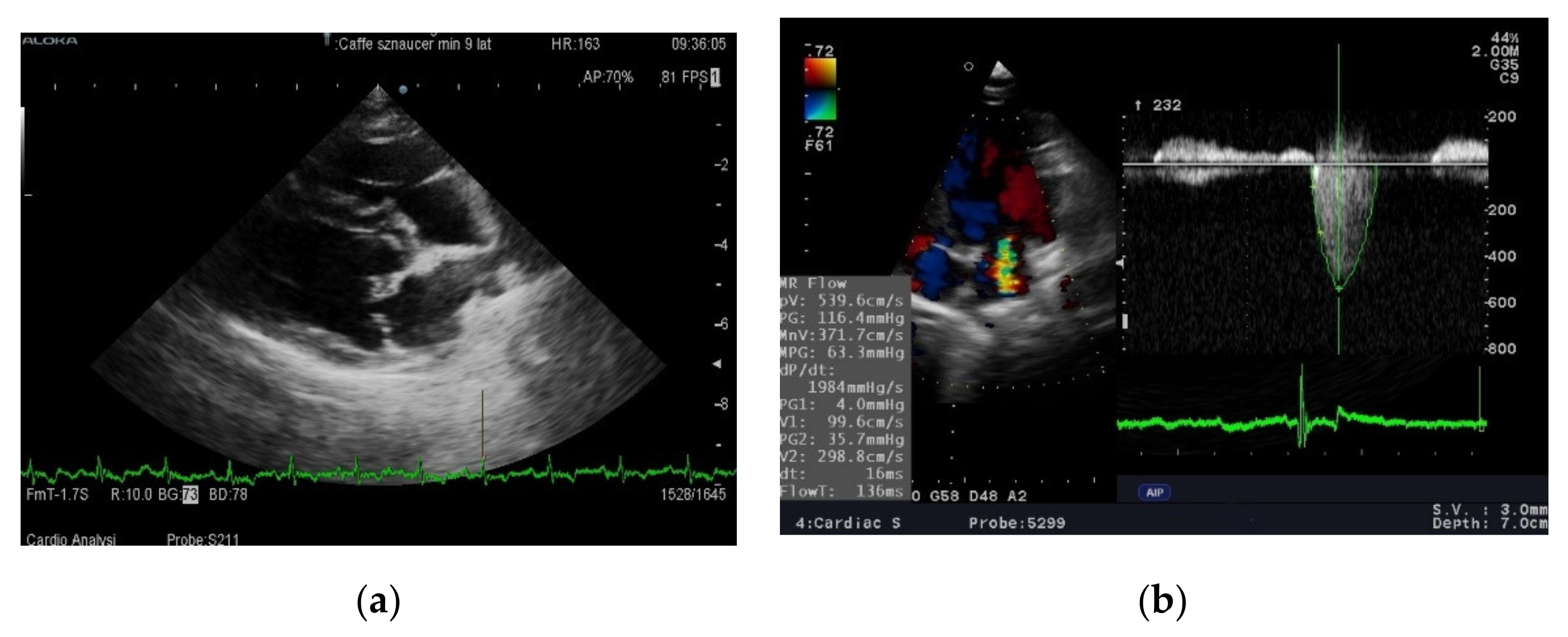 Animals 11 03360 g001 550