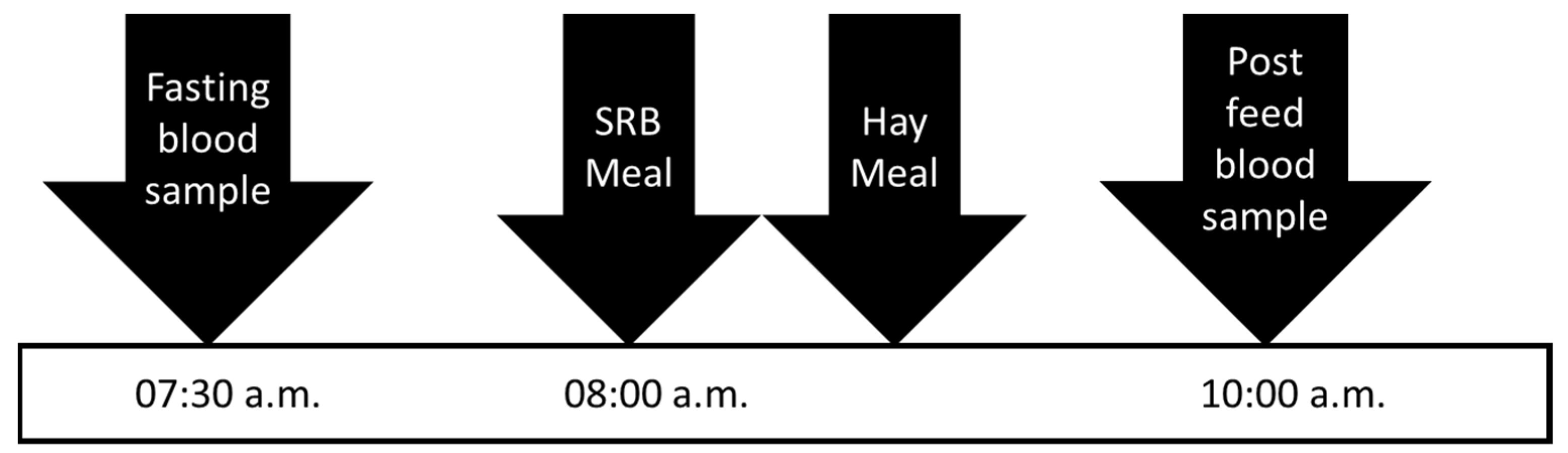 Animals 11 03362 g002 550