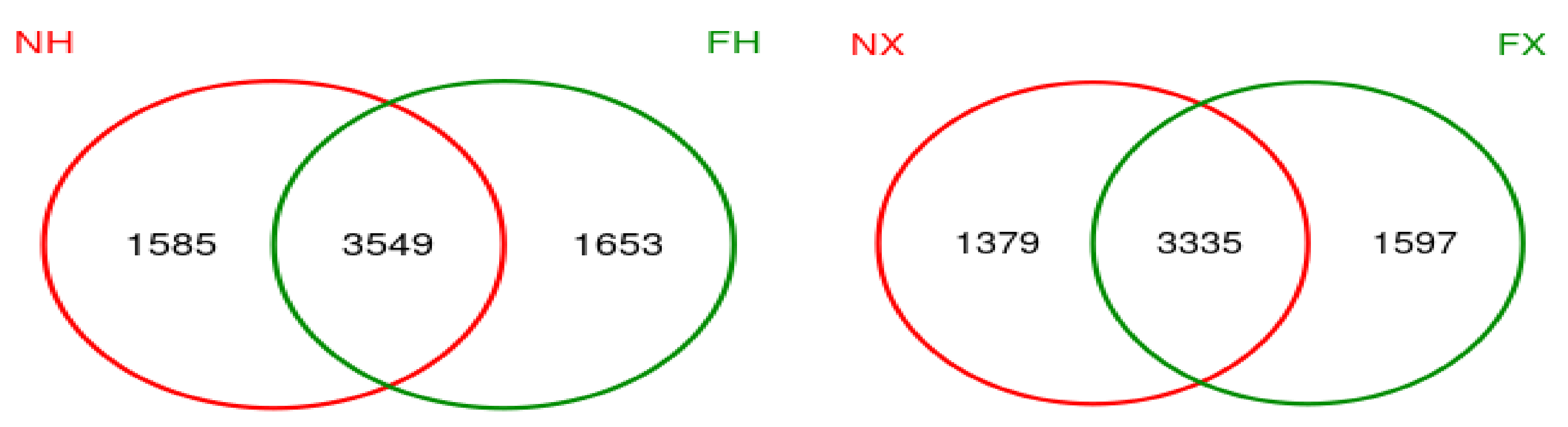 Animals 11 03363 g006 Animals 11 03363 g006