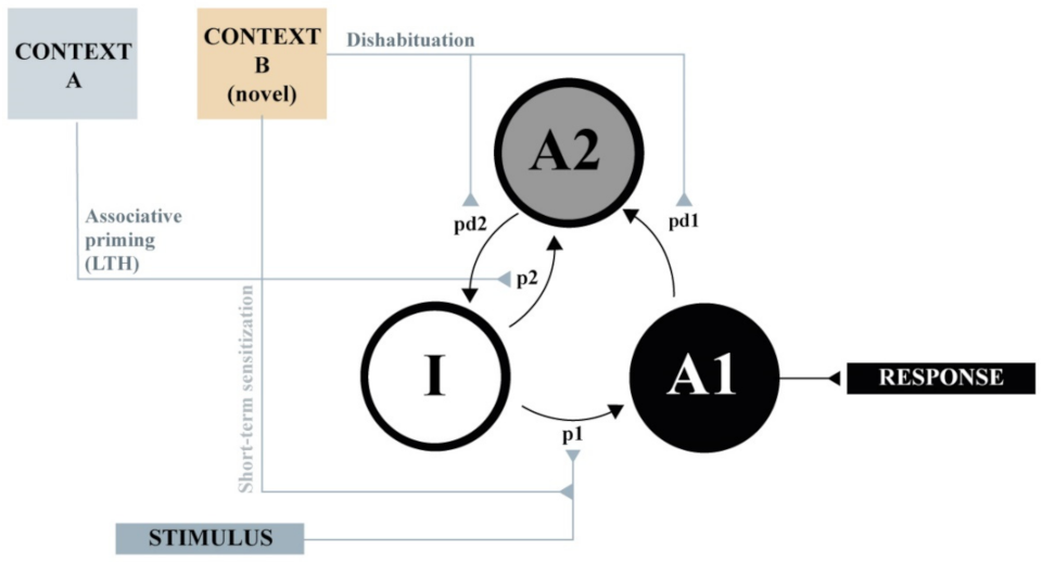 Animals 11 03365 g002 Animals 11 03365 g002
