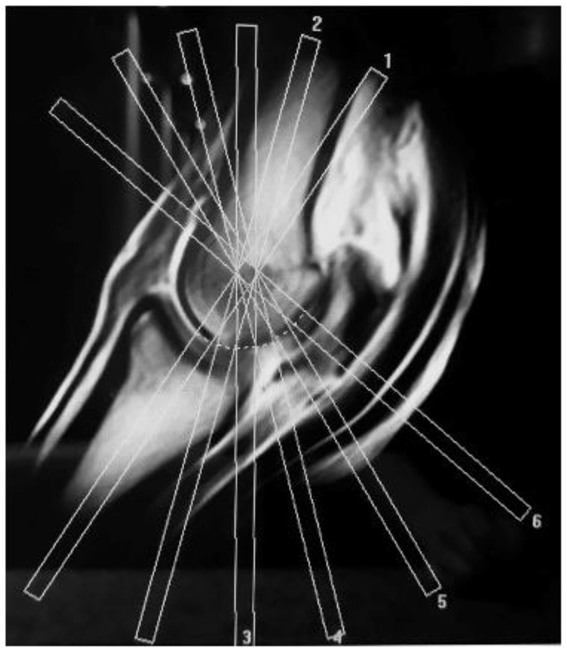 Animals 11 03366 g001 Animals 11 03366 g001