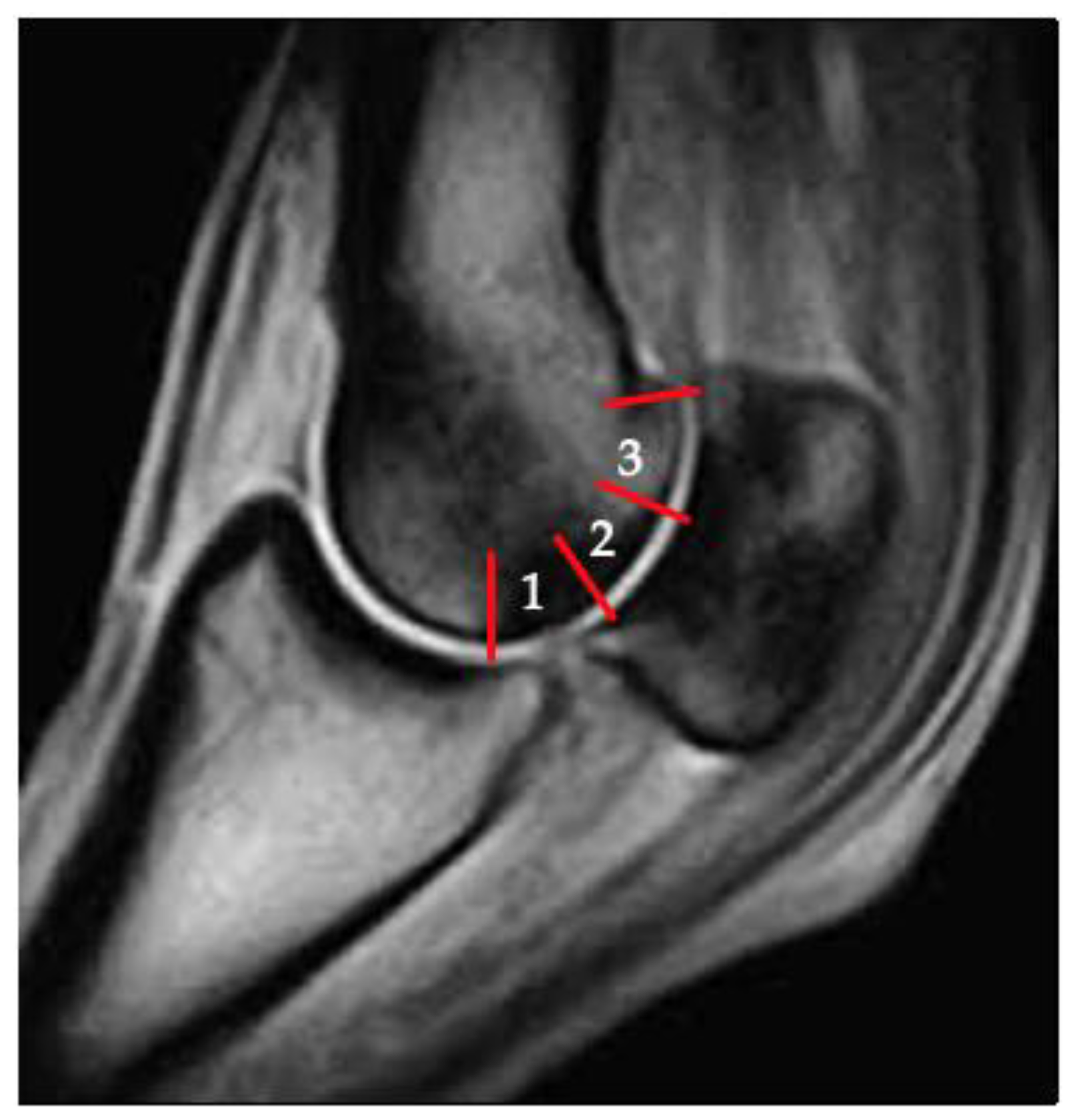 Animals 11 03366 g002 Animals 11 03366 g002