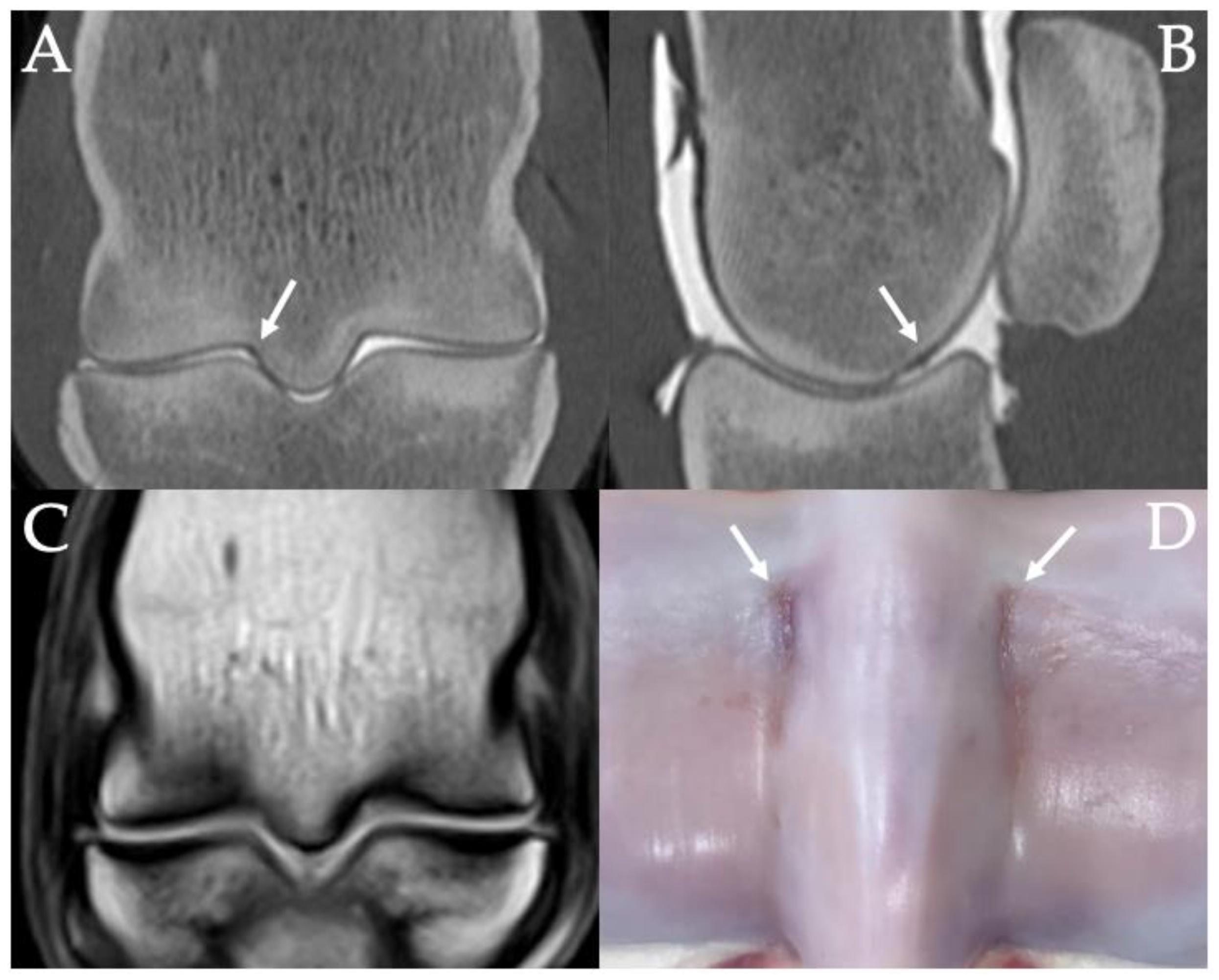 Animals 11 03366 g006 Animals 11 03366 g006