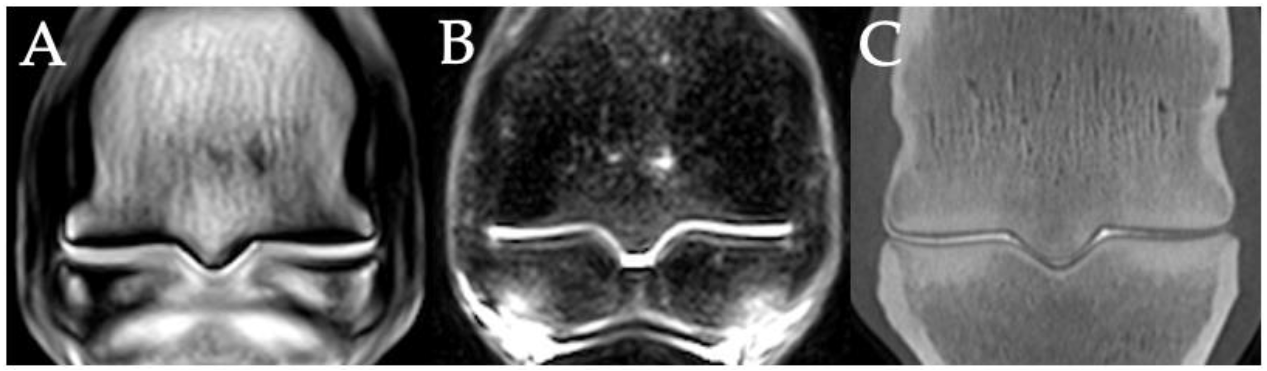 Animals 11 03366 g007 Animals 11 03366 g007