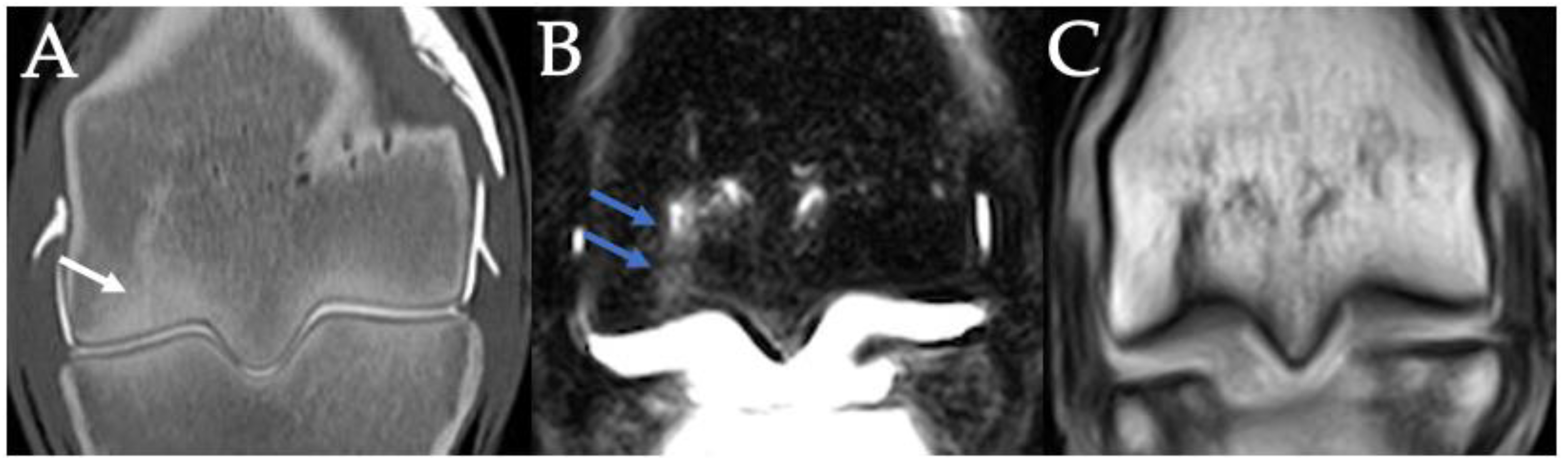 Animals 11 03366 g011 Animals 11 03366 g011