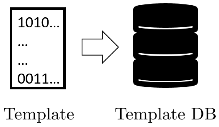 Animals 11 03372 g003