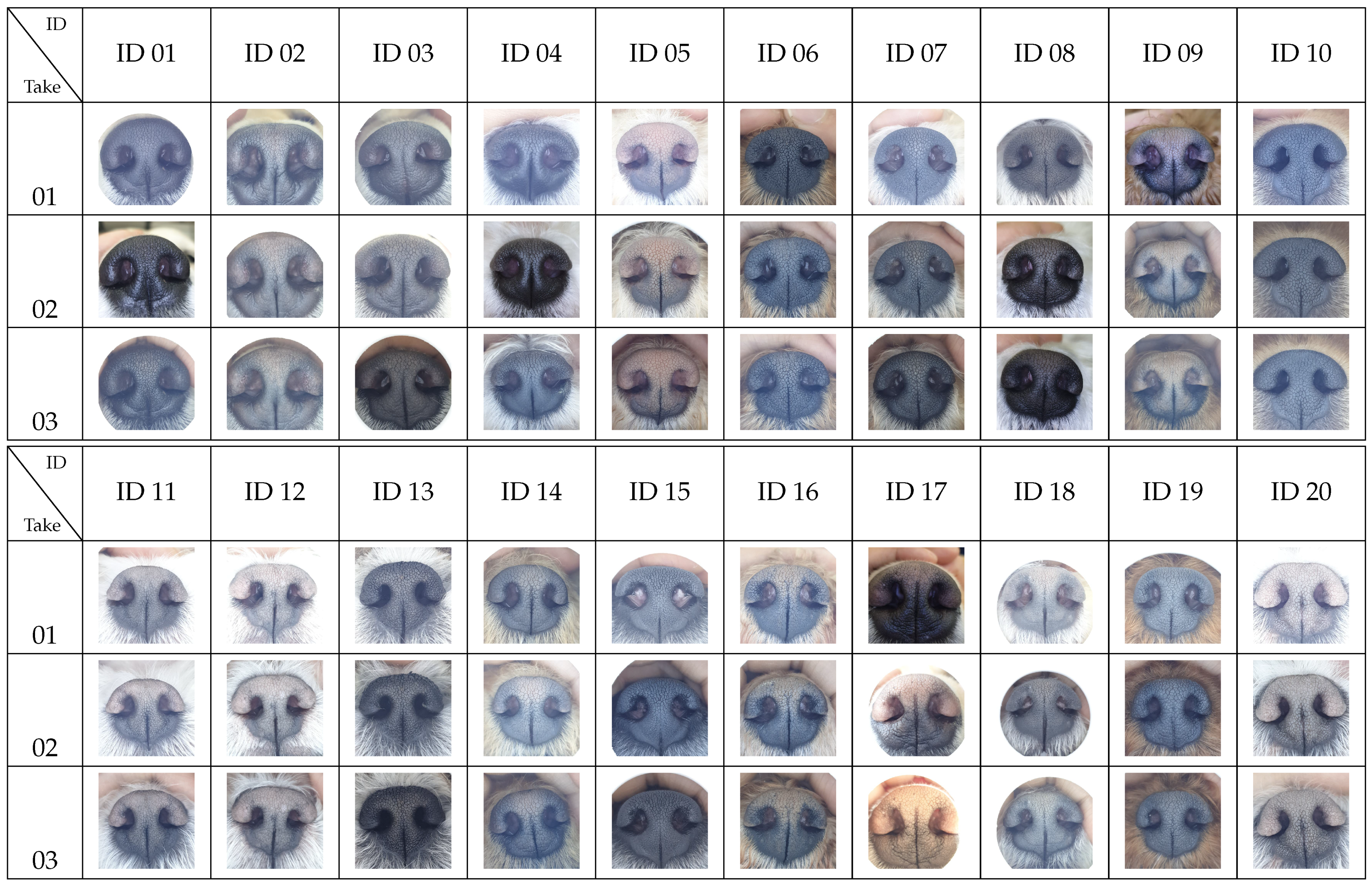 Animals 11 03372 g0a1a