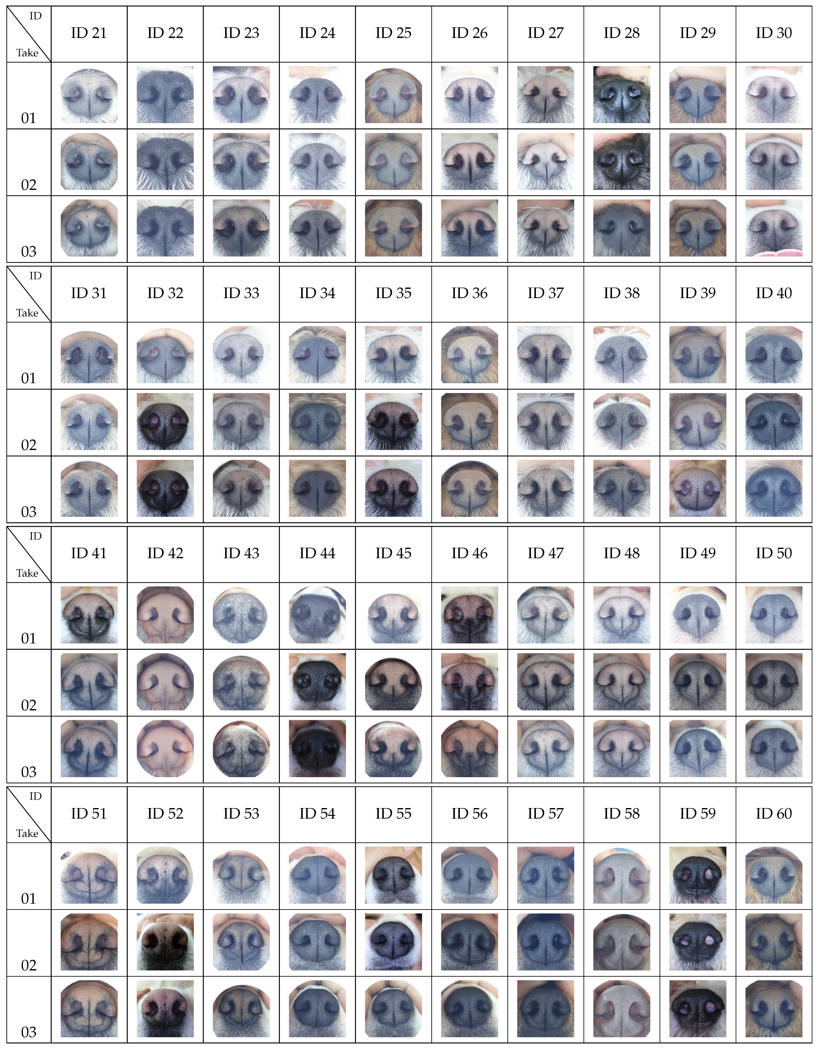 Animals 11 03372 g0a1b