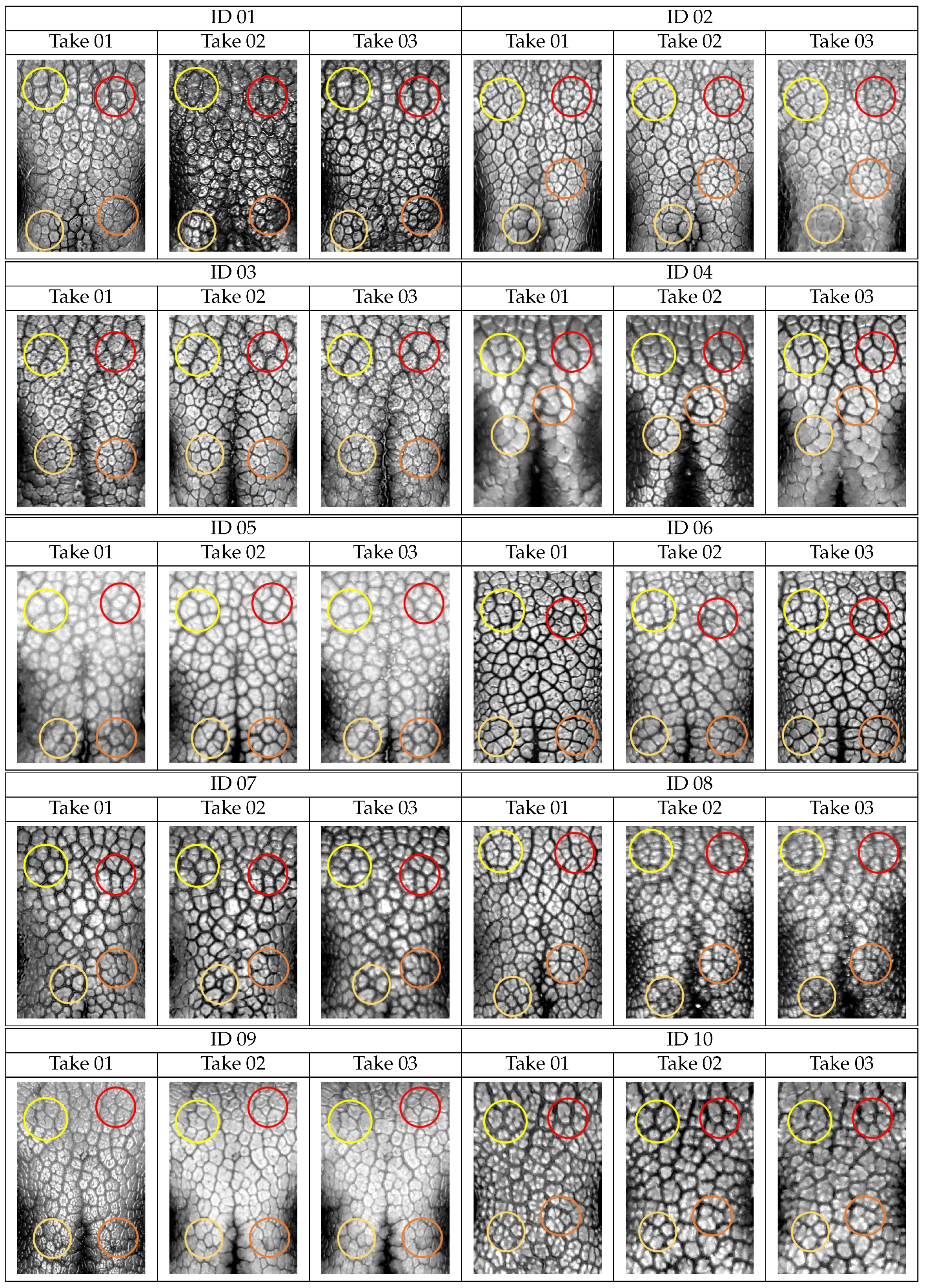 Animals 11 03372 g0a2a