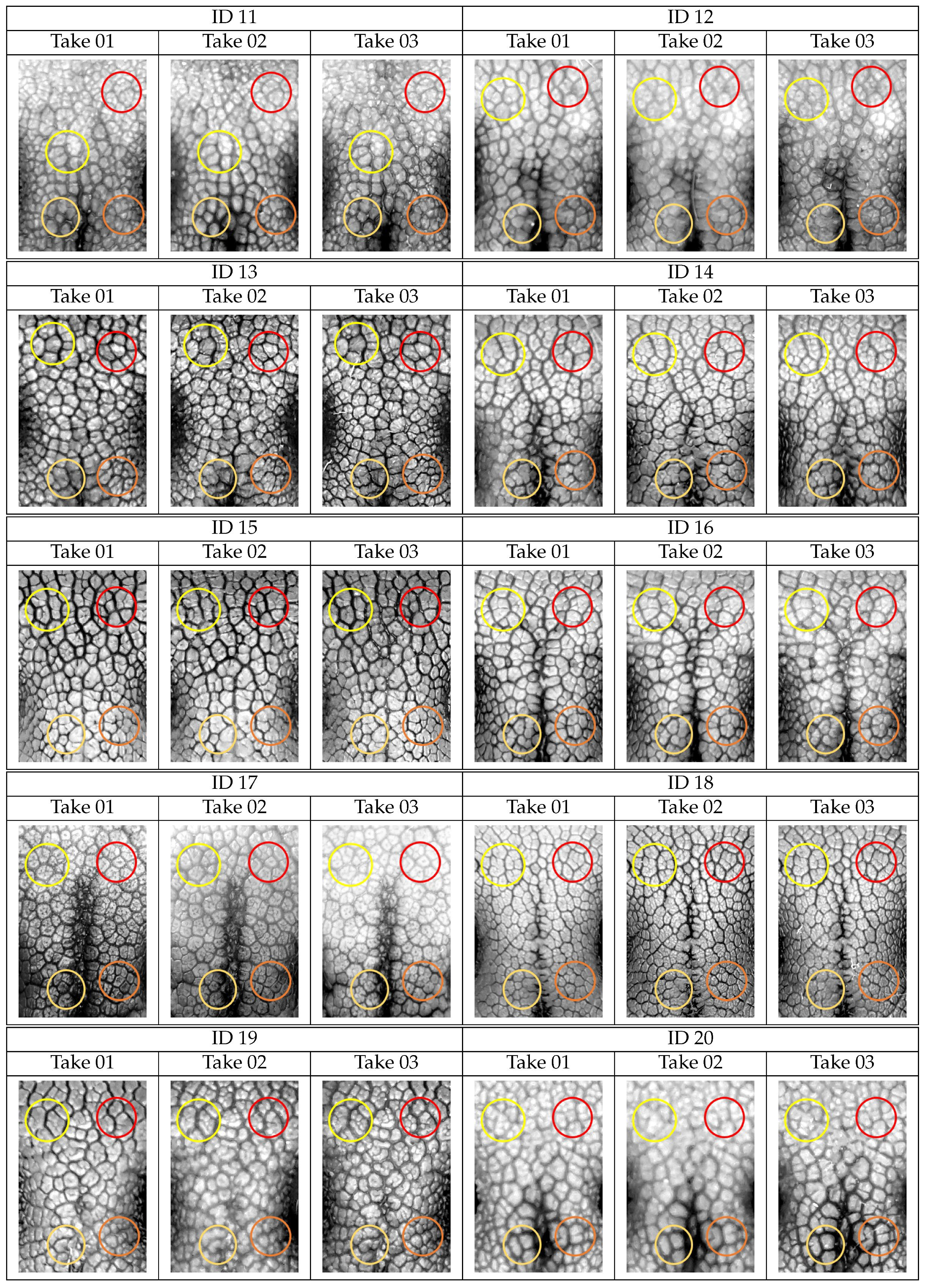 Animals 11 03372 g0a2b