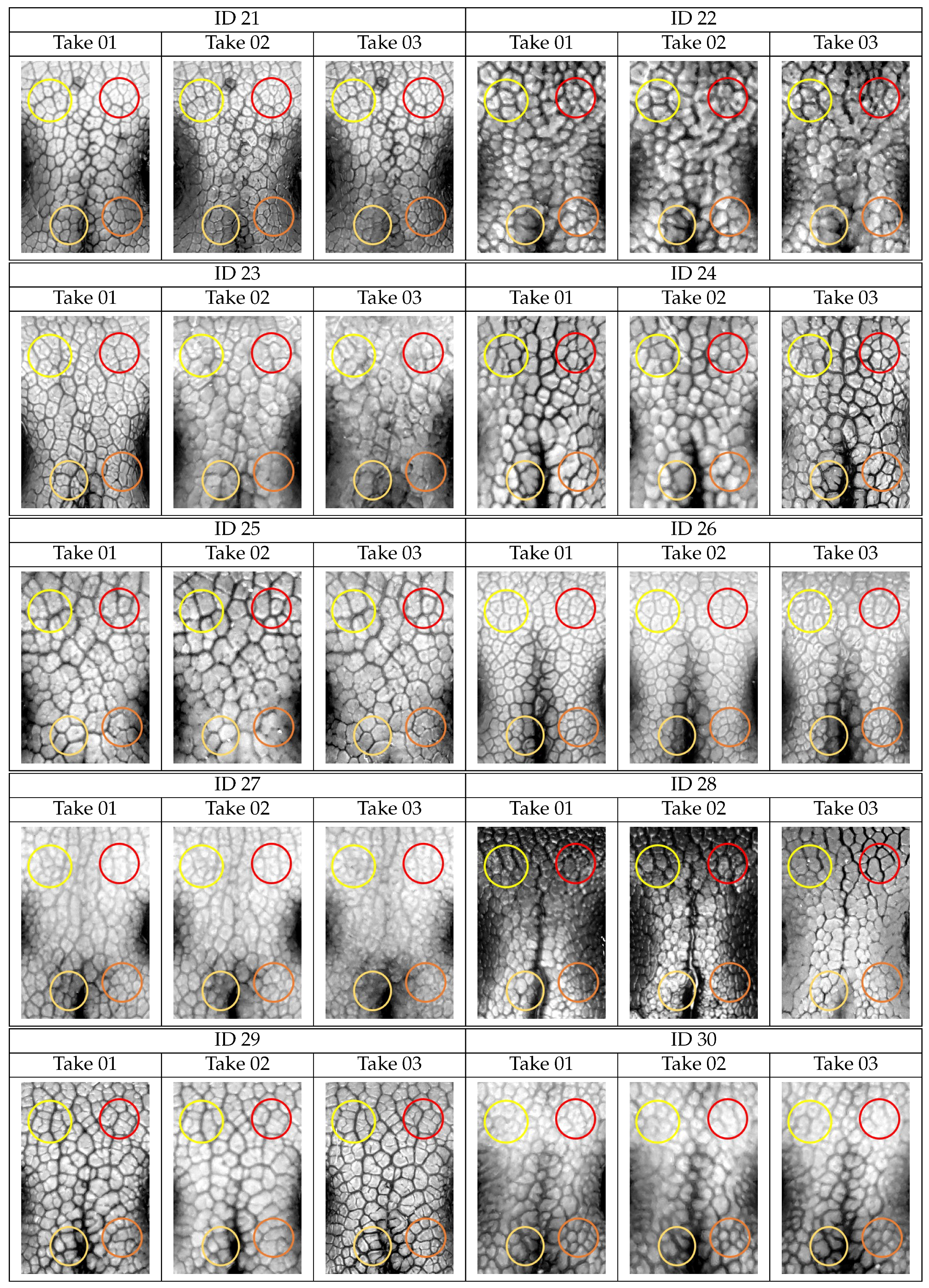 Animals 11 03372 g0a2c