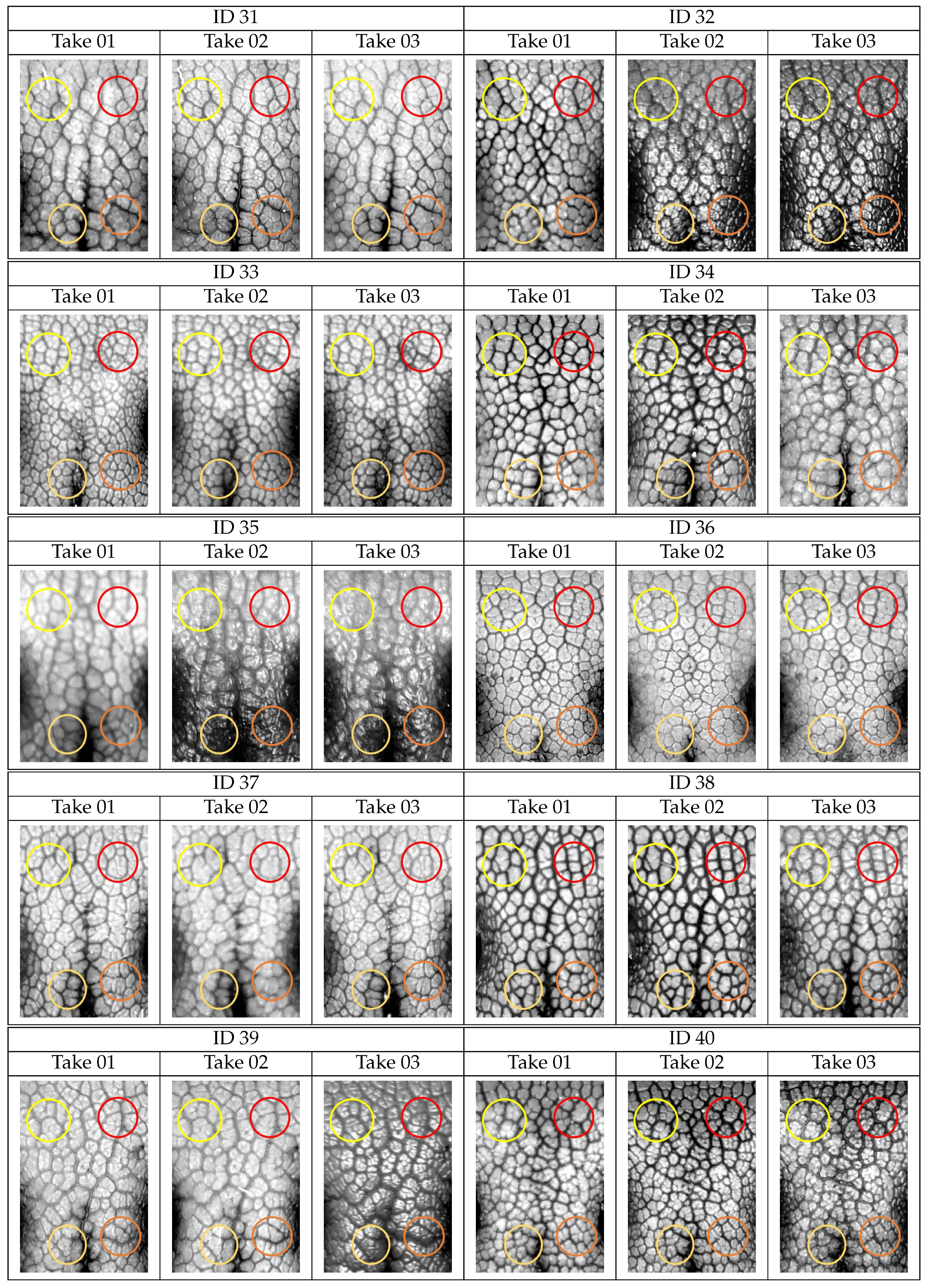 Animals 11 03372 g0a2d