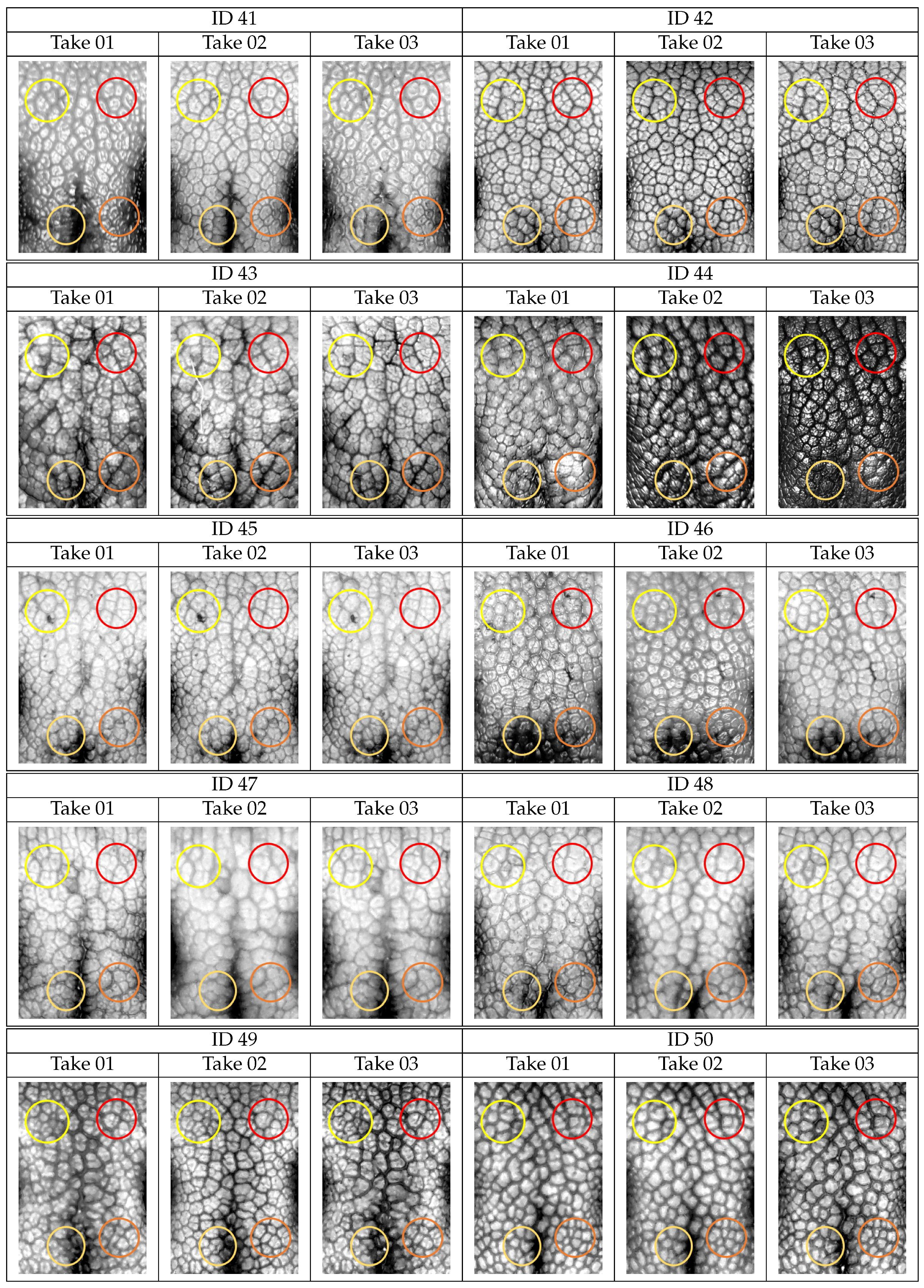 Animals 11 03372 g0a2e