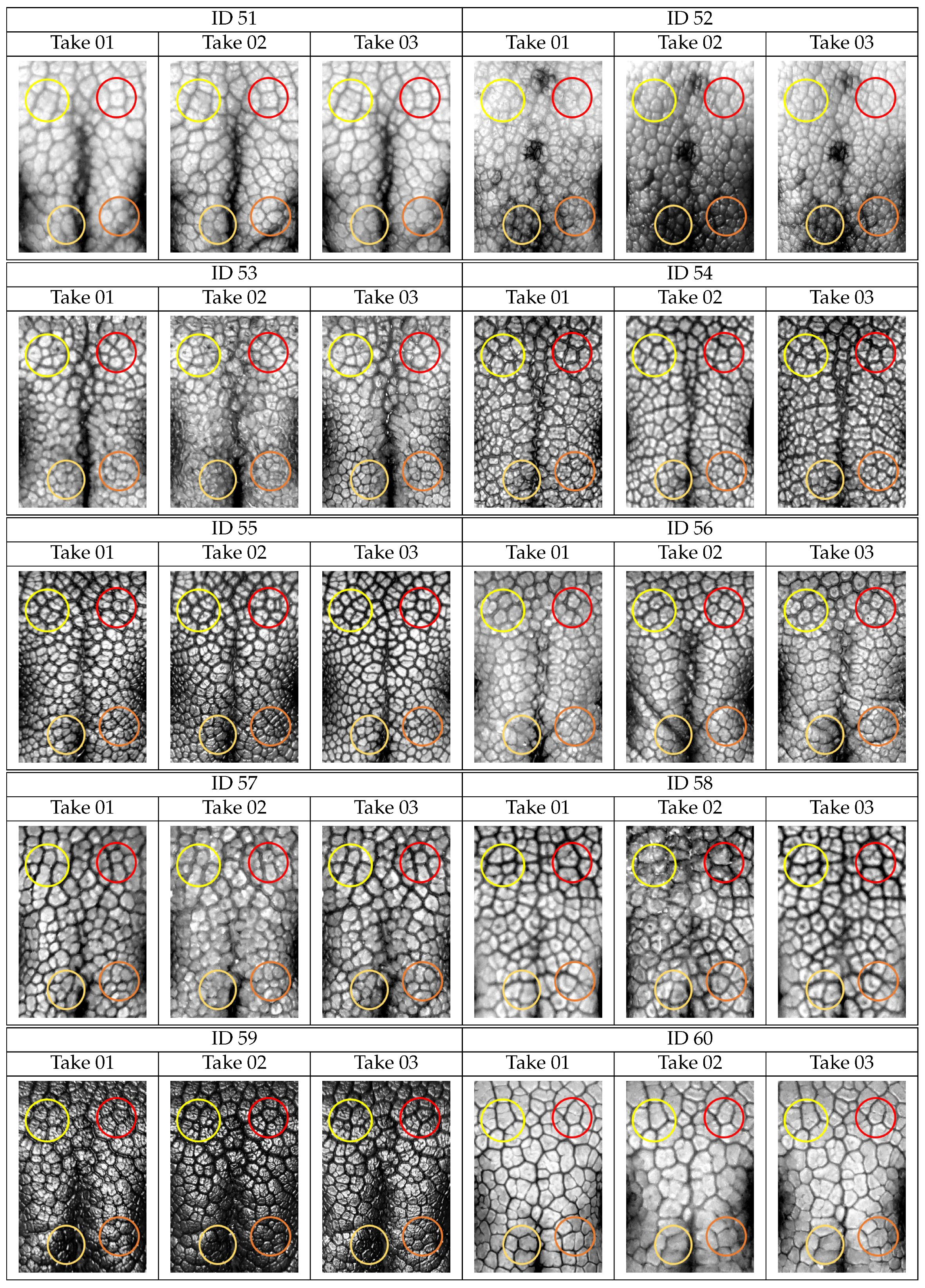 Animals 11 03372 g0a2f