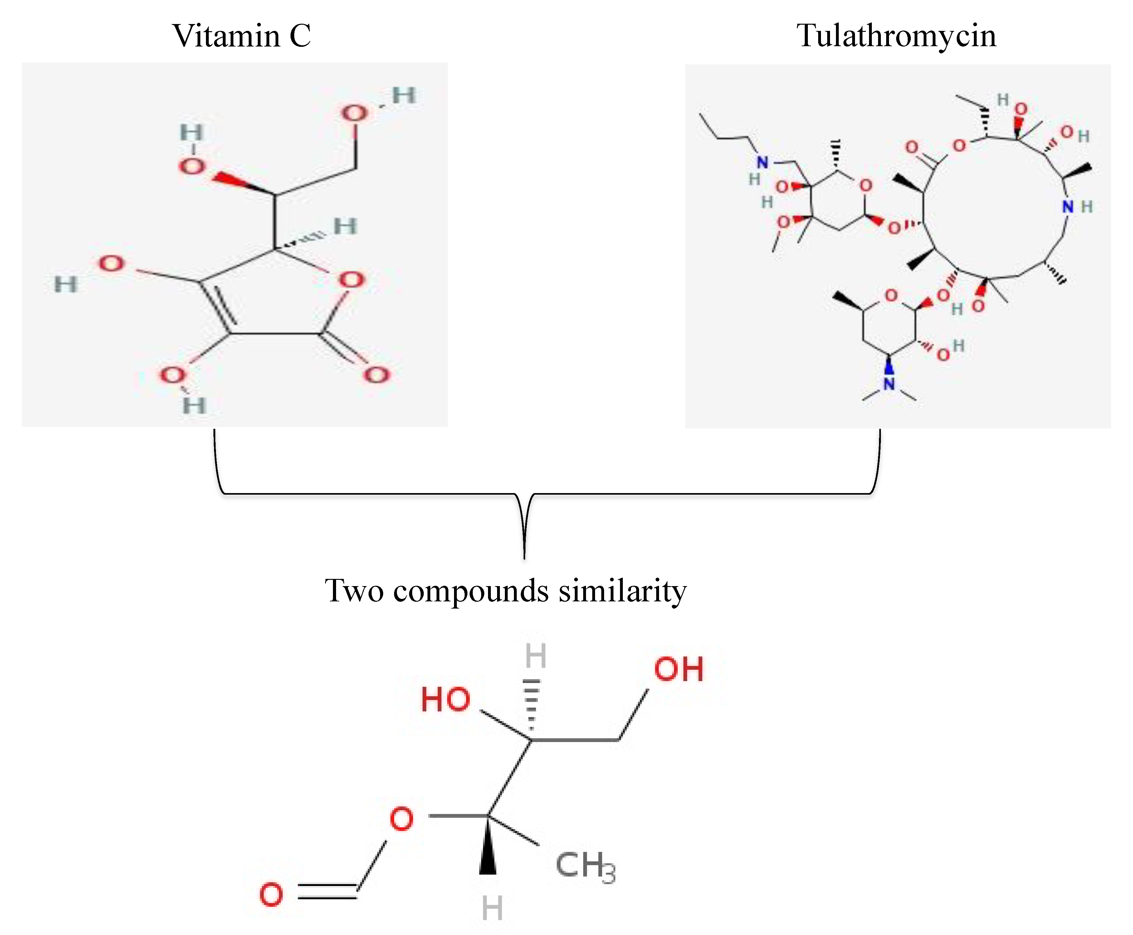 Animals 11 03374 g002