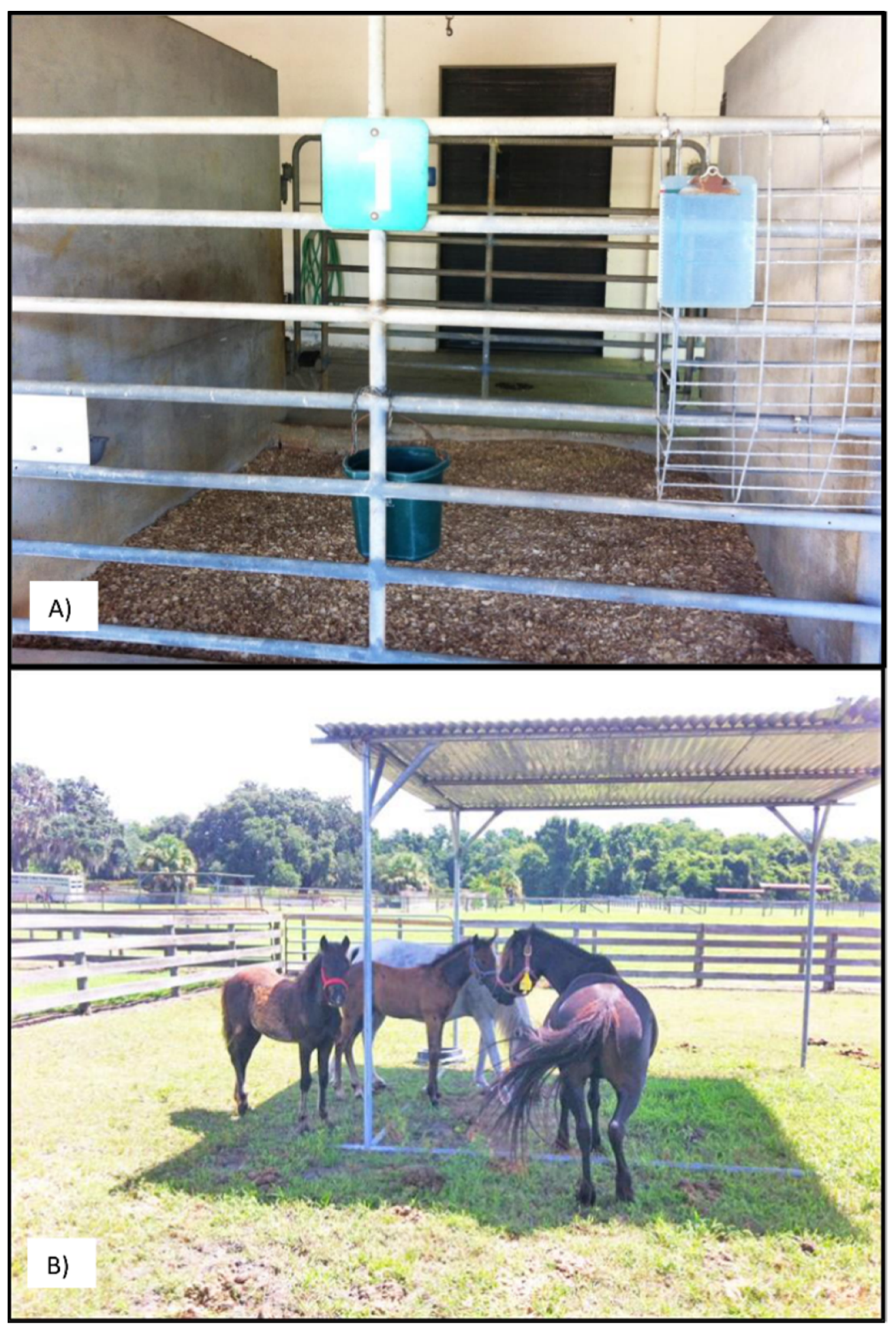 Animals 11 03379 g002 Animals 11 03379 g002