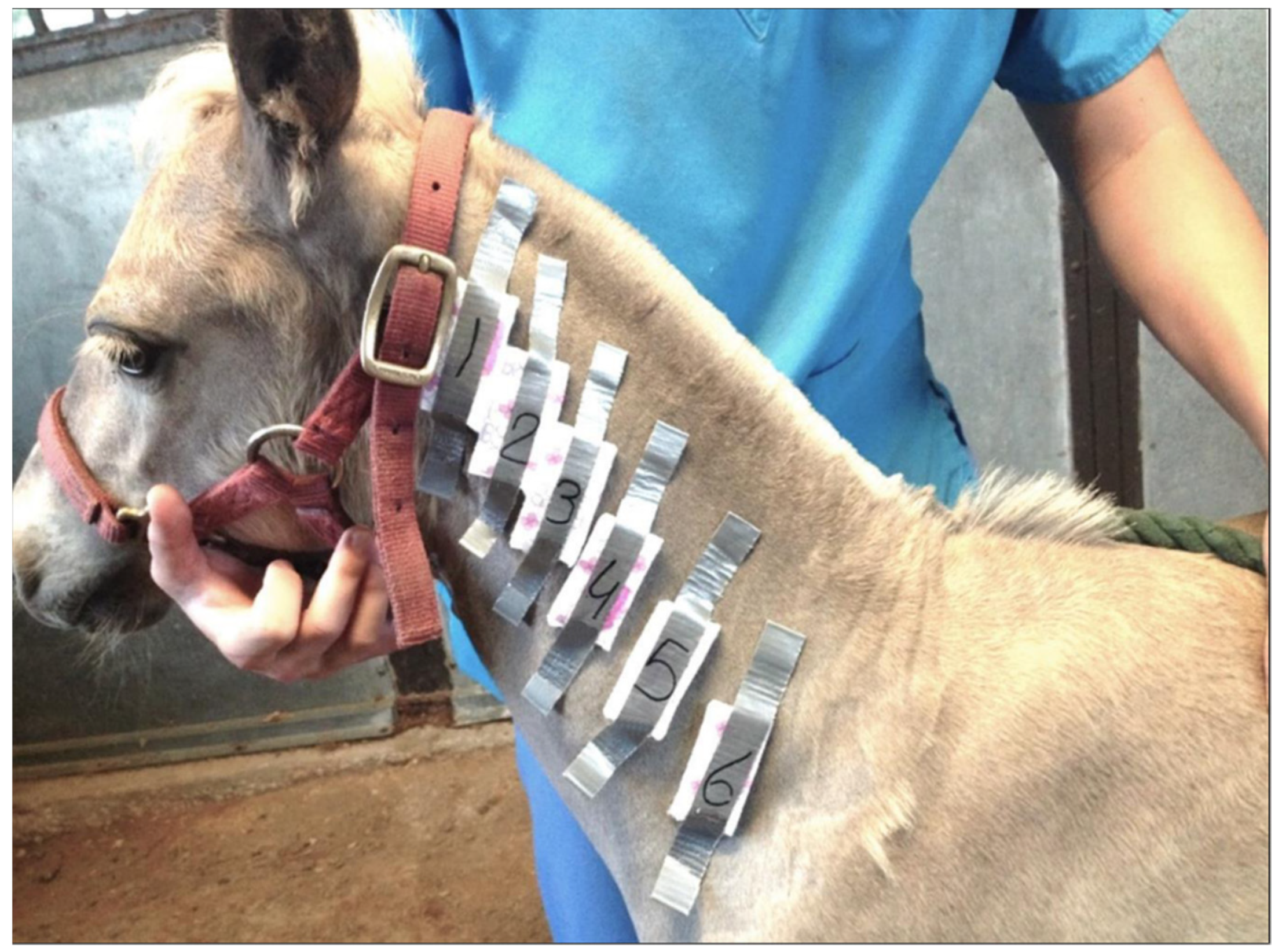 Animals 11 03379 g003 Animals 11 03379 g003