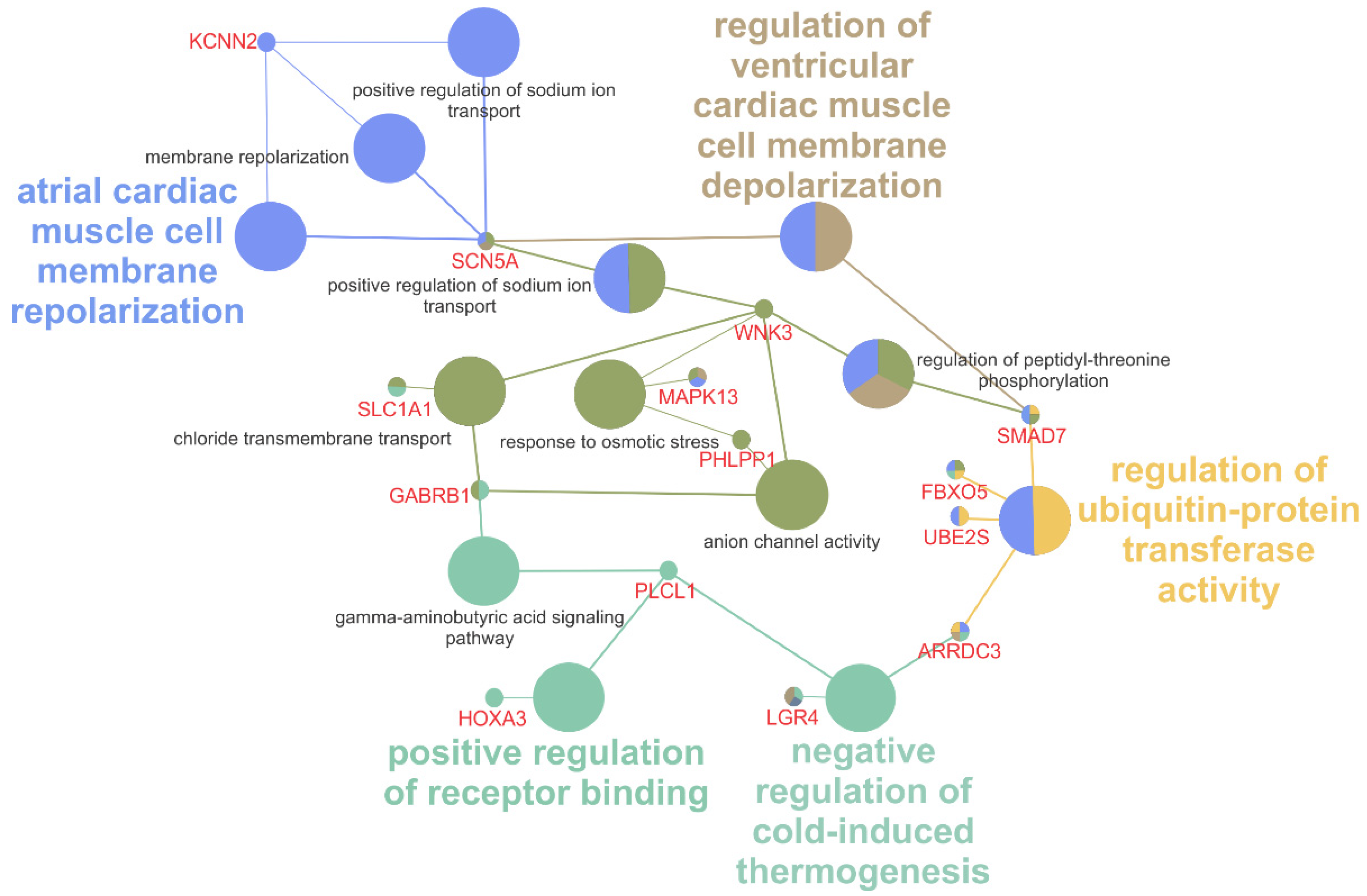 Animals 11 03379 g006 Animals 11 03379 g006