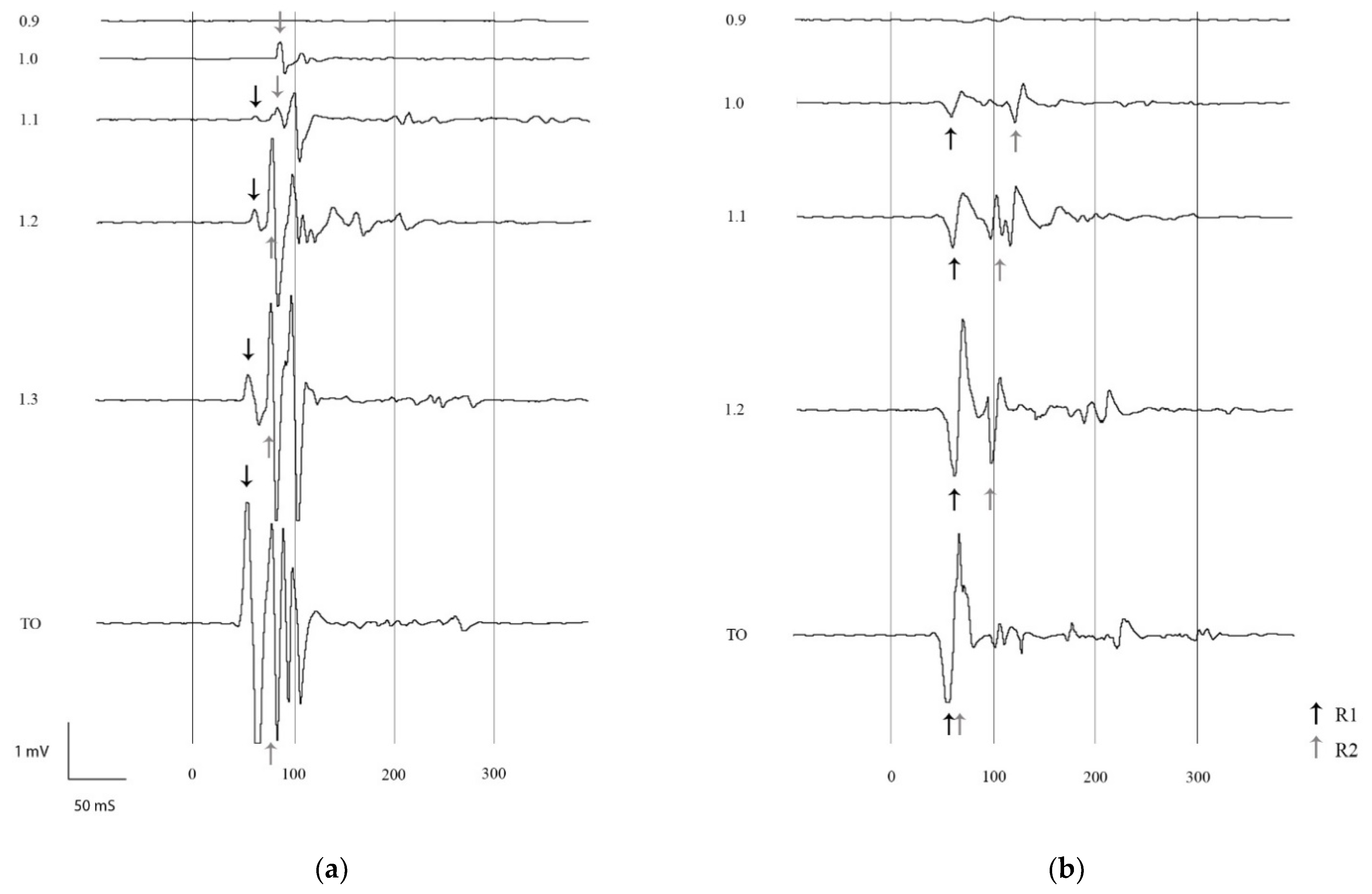 Animals 11 03380 g002