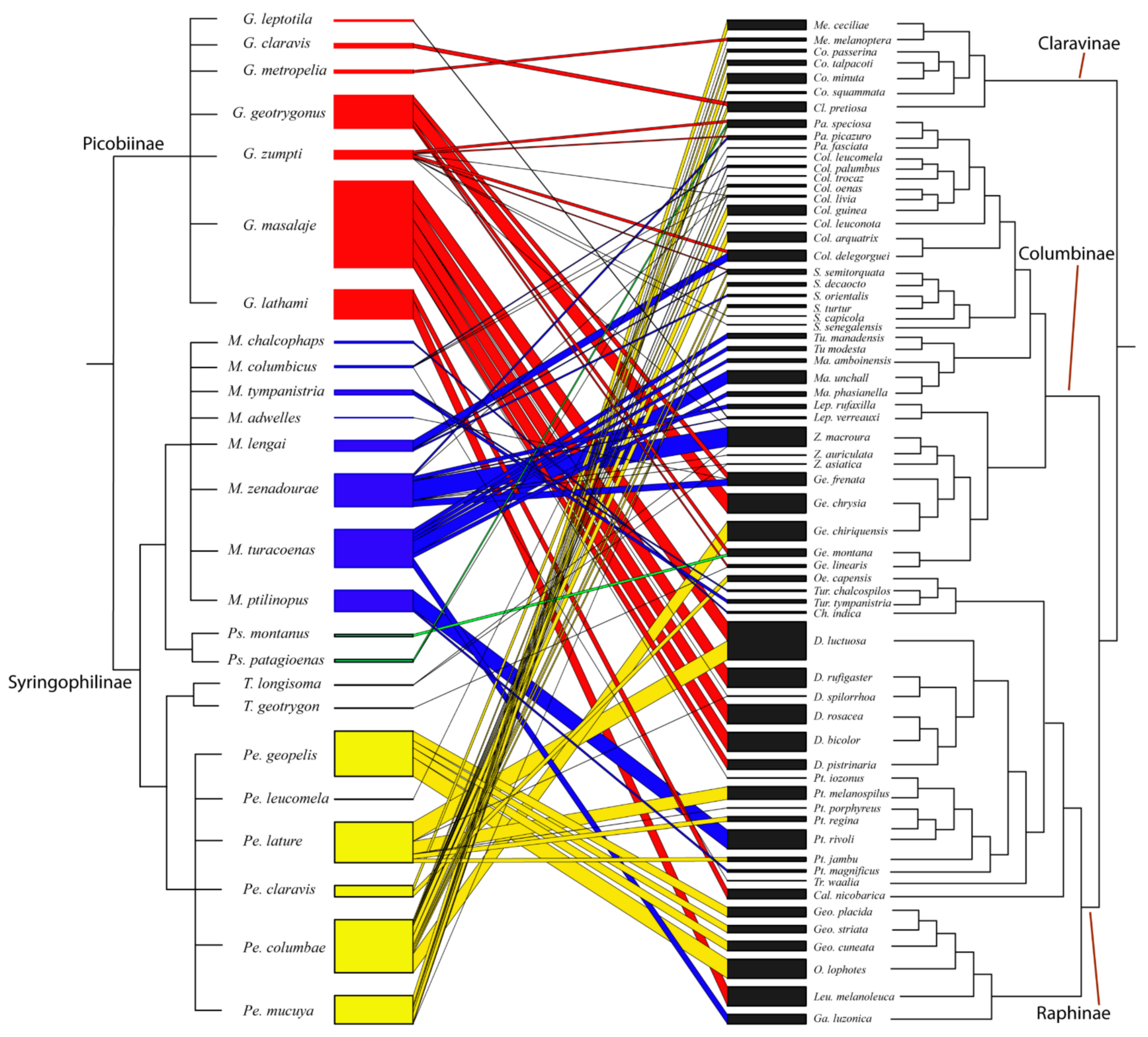 Animals 11 03392 g001 Animals 11 03392 g001