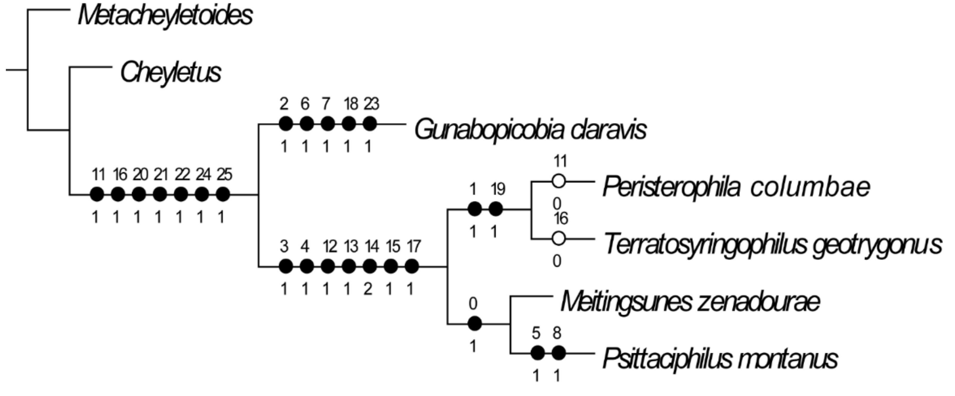 Animals 11 03392 g003 Animals 11 03392 g003