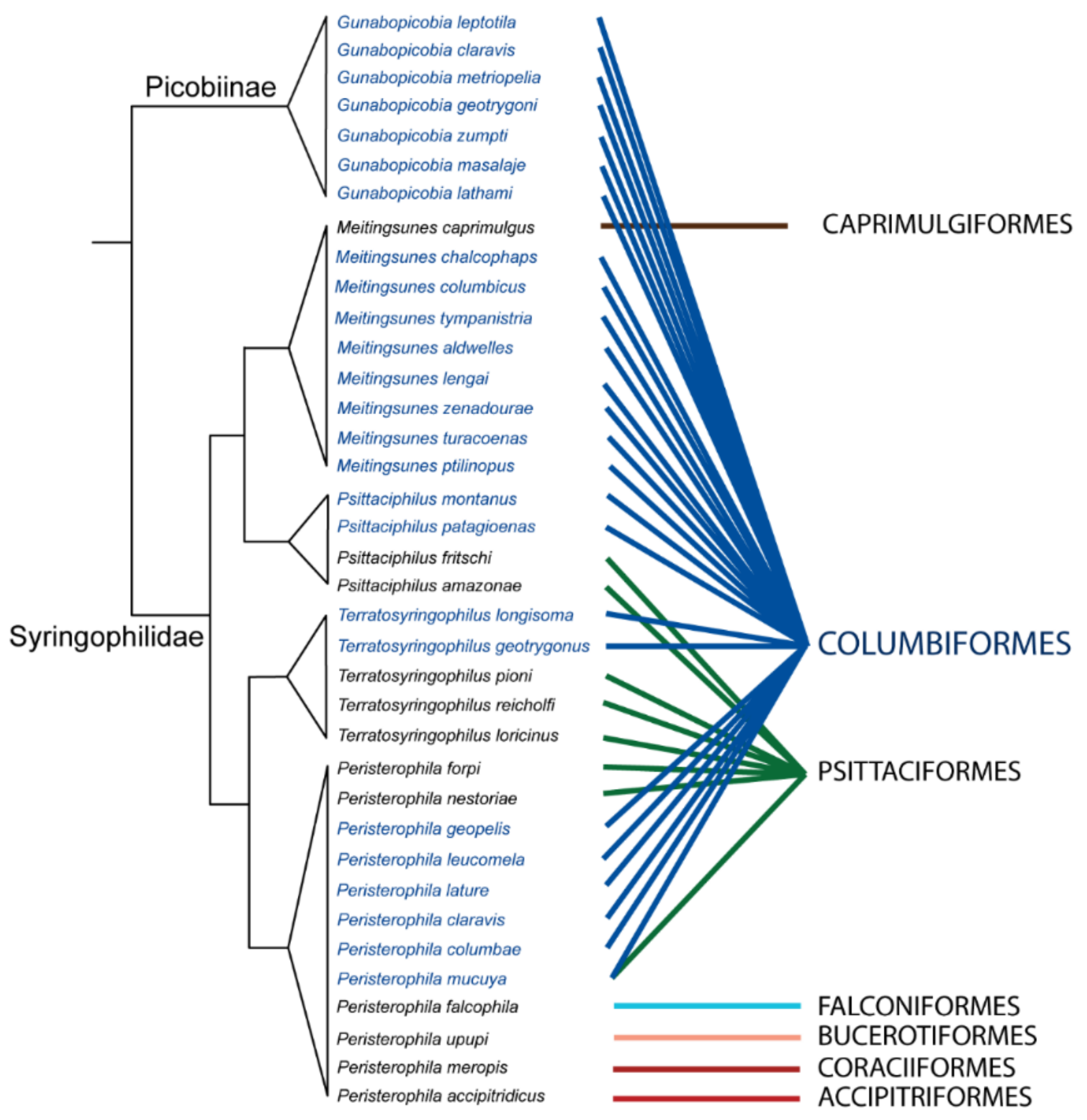 Animals 11 03392 g004 Animals 11 03392 g004