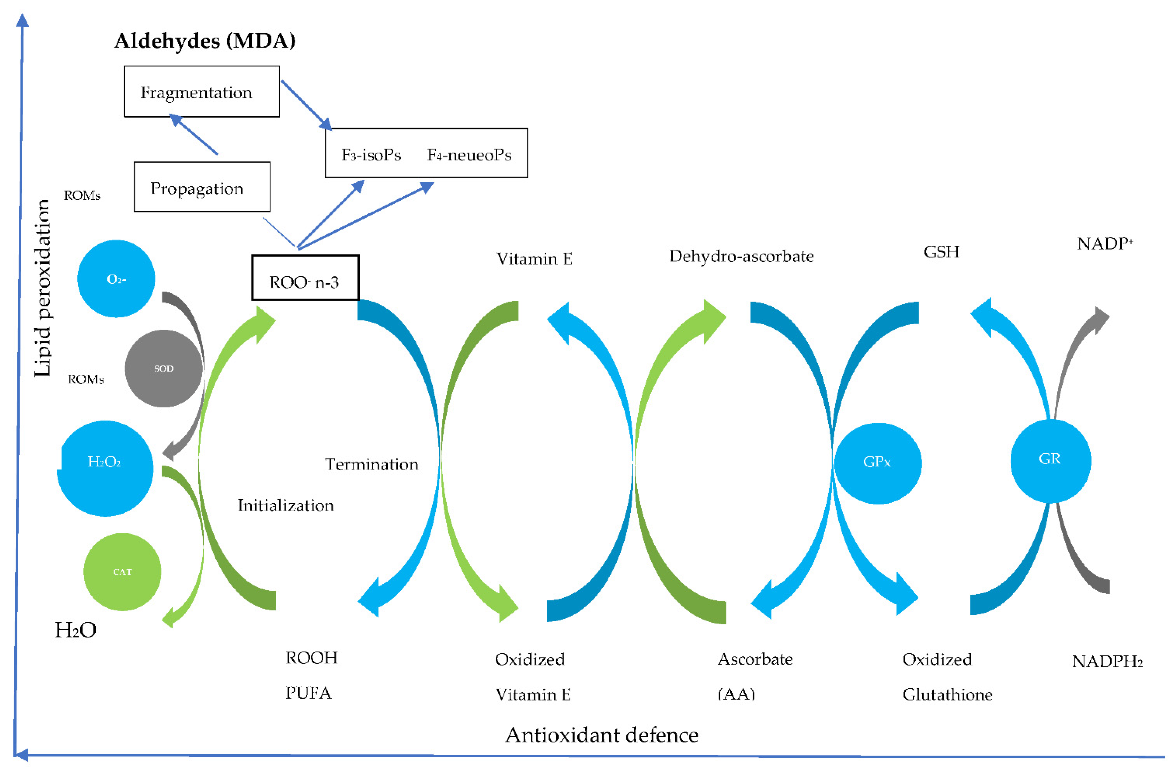 Animals 11 03395 g002 Animals 11 03395 g002