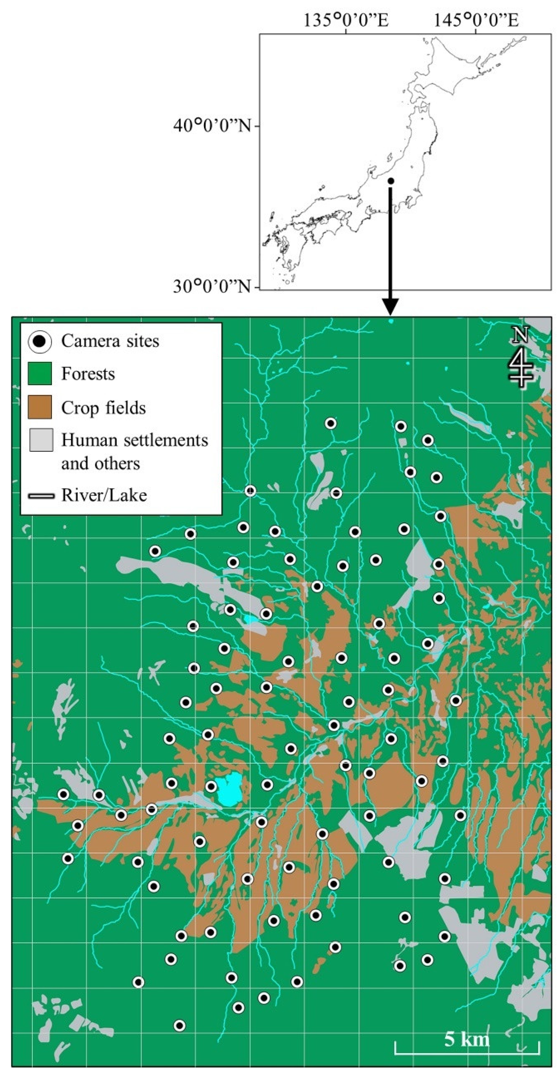 Animals 11 03398 g001