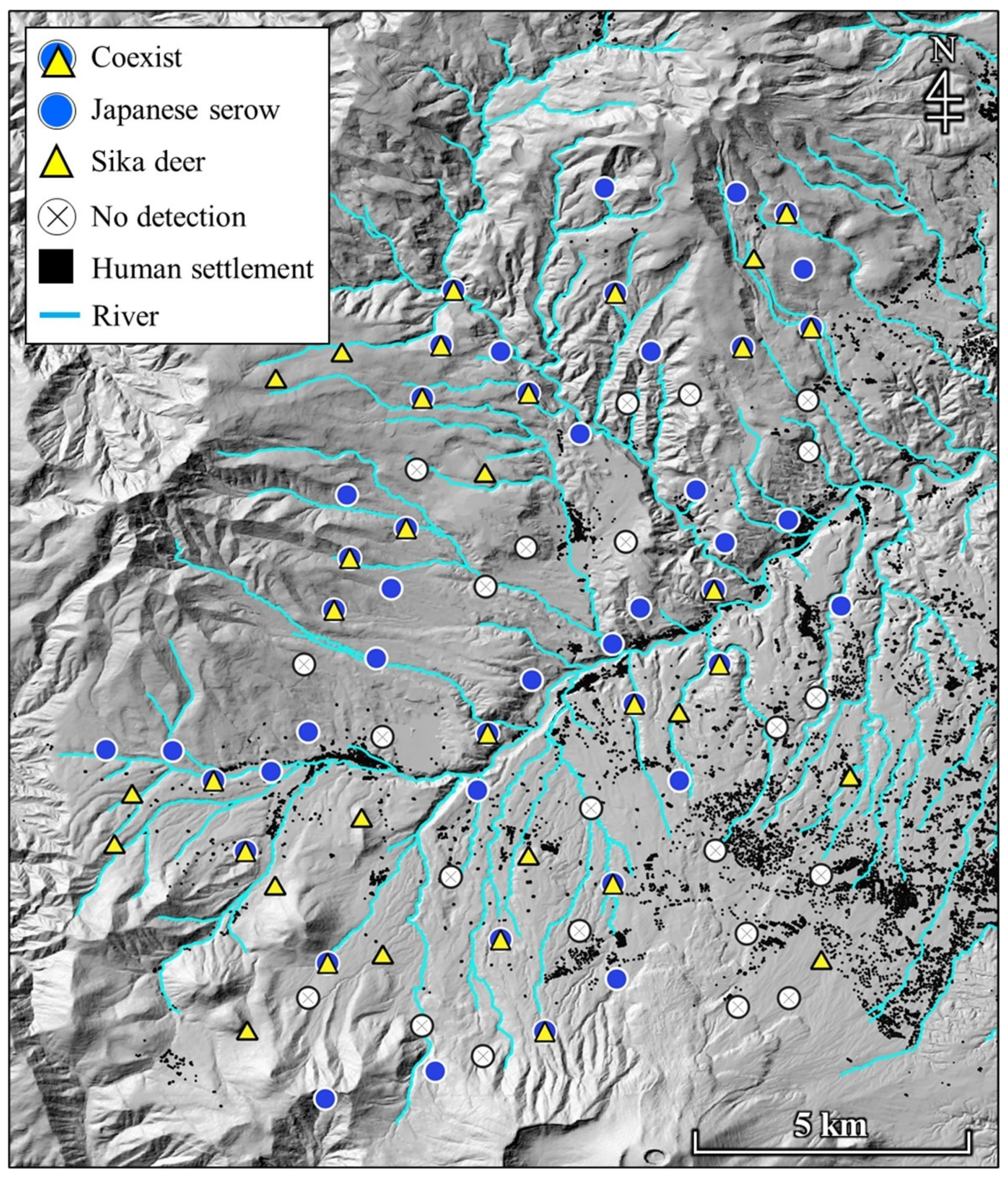 Animals 11 03398 g002
