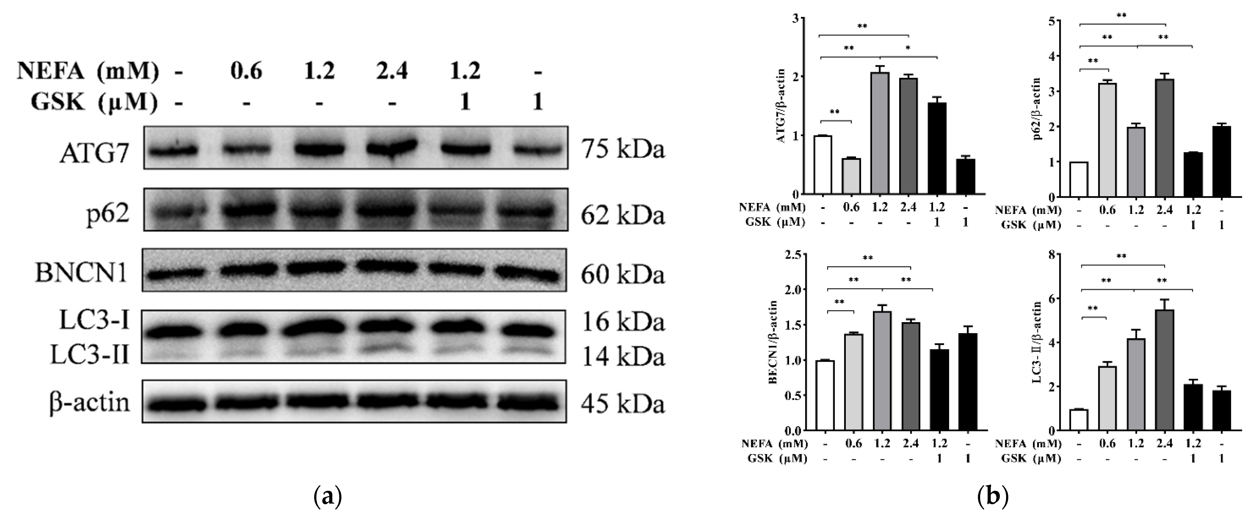 Animals 11 03400 g003