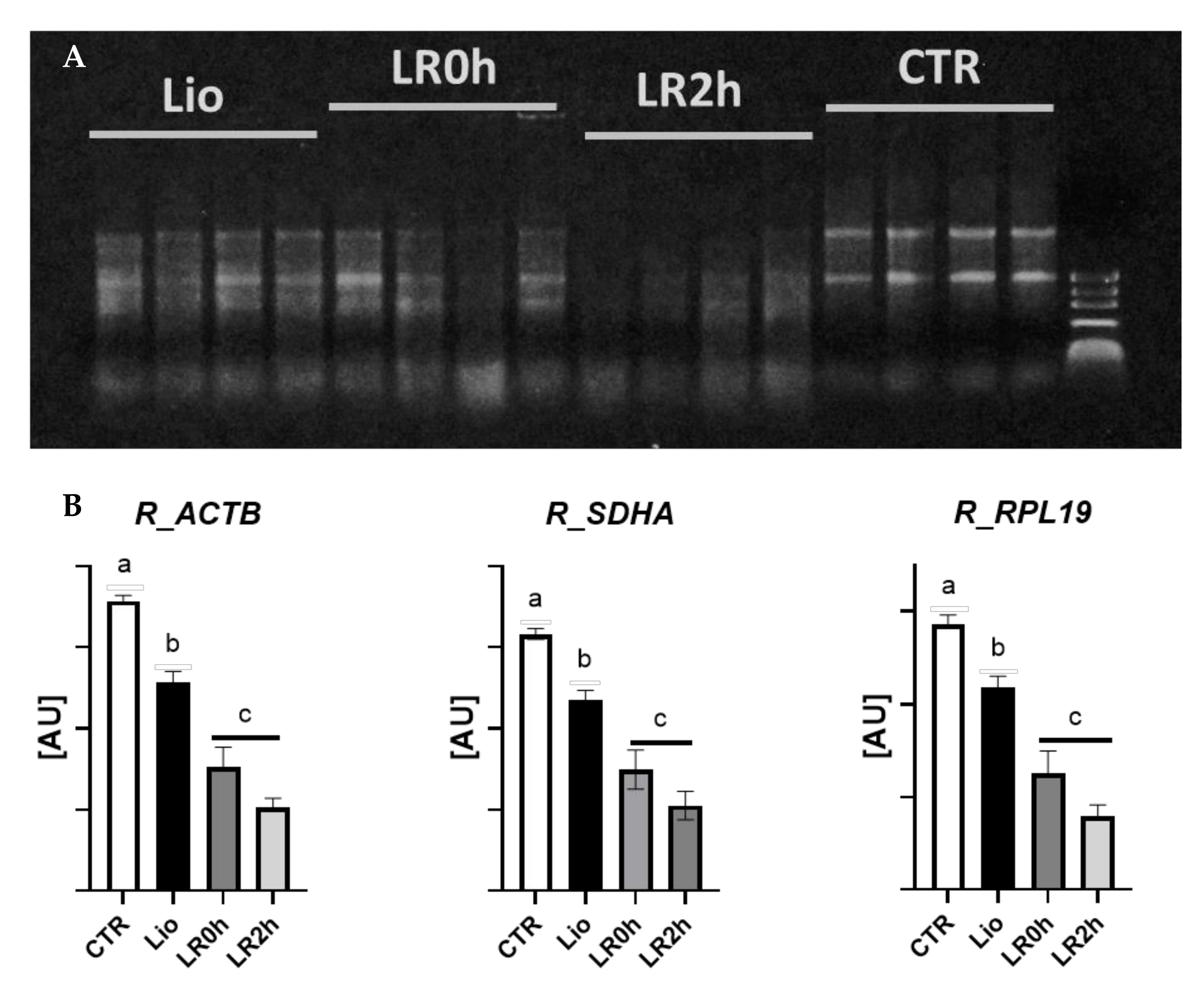 Animals 11 03407 g002