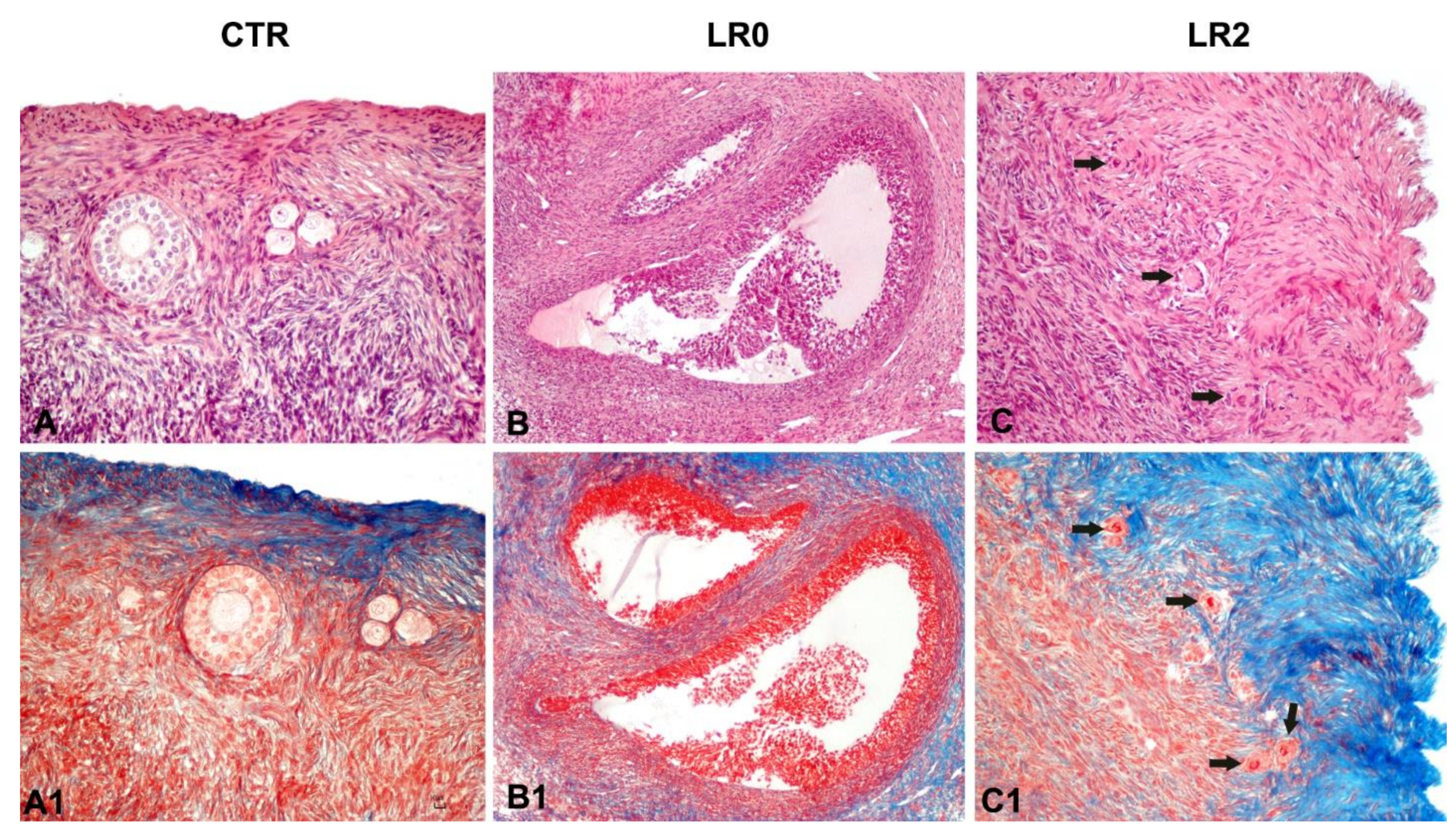 Animals 11 03407 g005