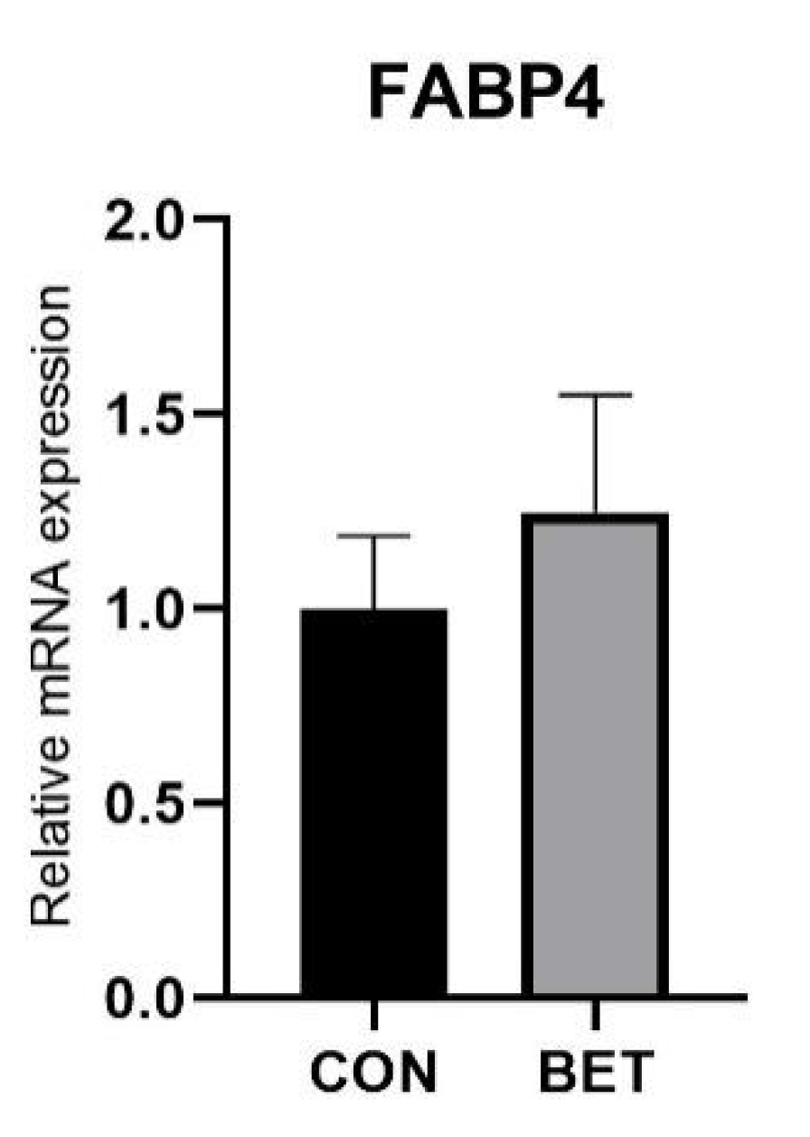Animals 11 03408 g002b 550