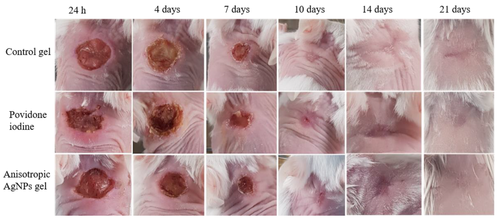 Animals 11 03412 g005 550