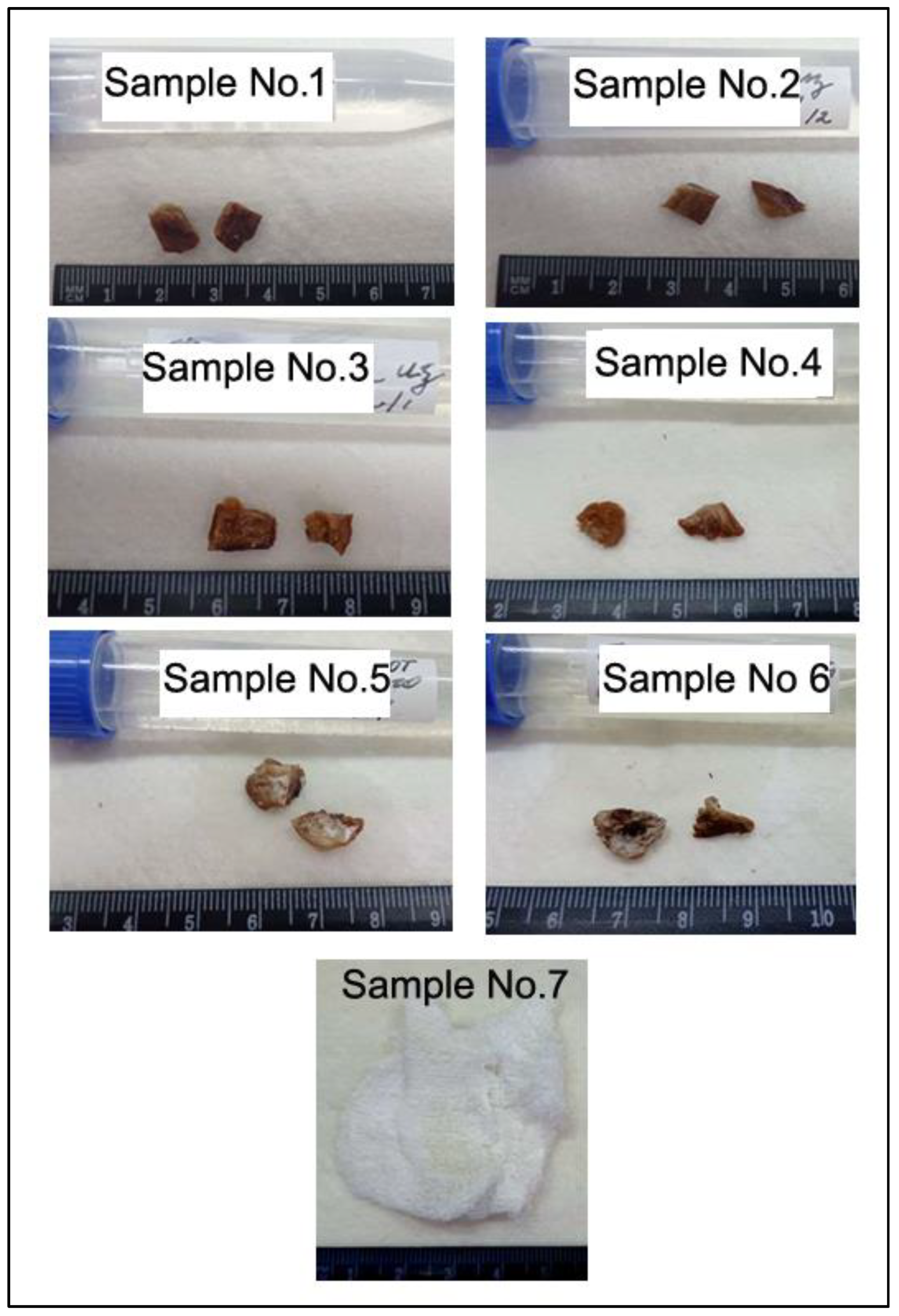 Animals | Free Full-Text | Combination of Multiple Microsatellite Analysis  and Genome-Wide SNP Genotyping Helps to Solve Wildlife Crime: A Case Study  of Poaching of a Caucasian tur (Capra caucasica) in Russian