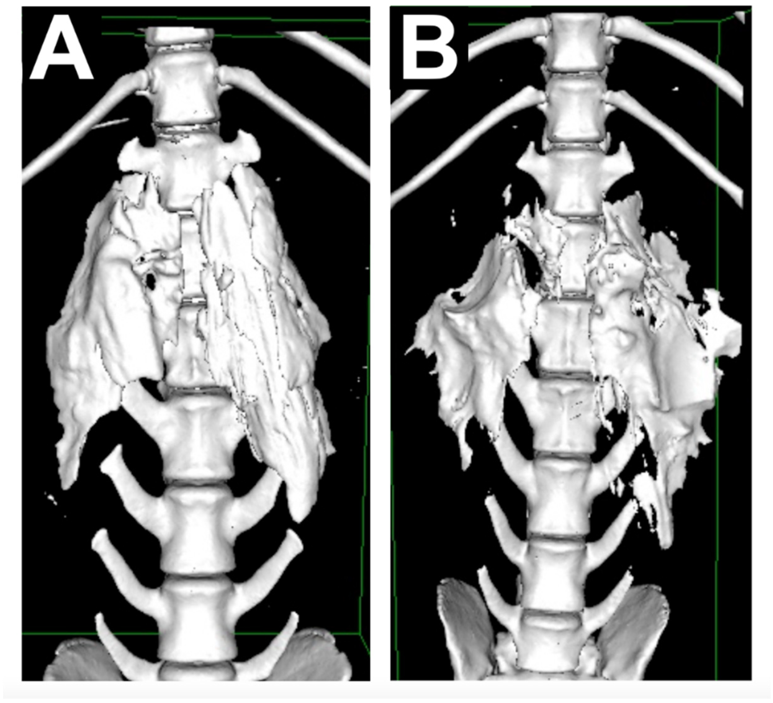 Animals 11 03424 g003 550