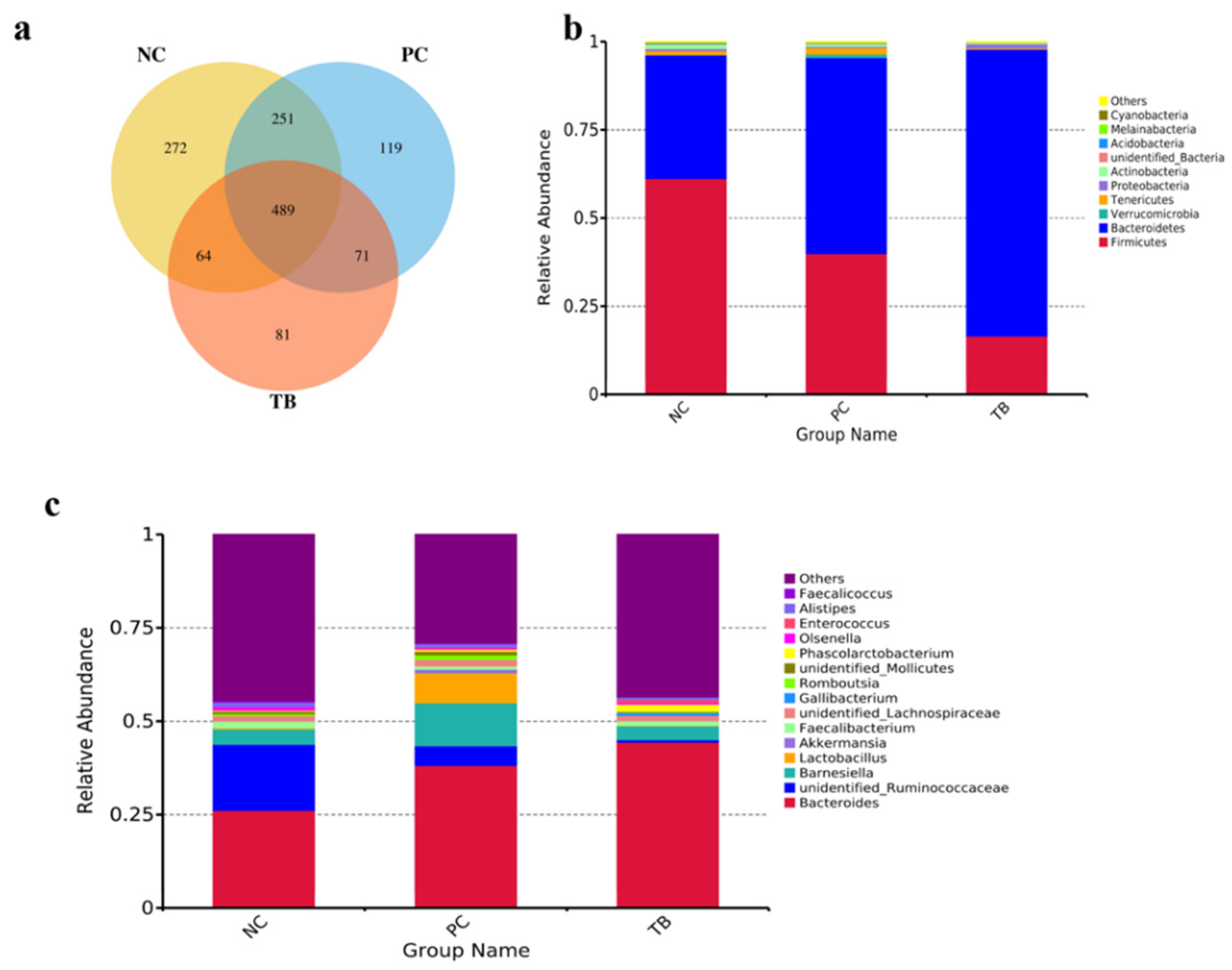 Animals 11 03425 g001