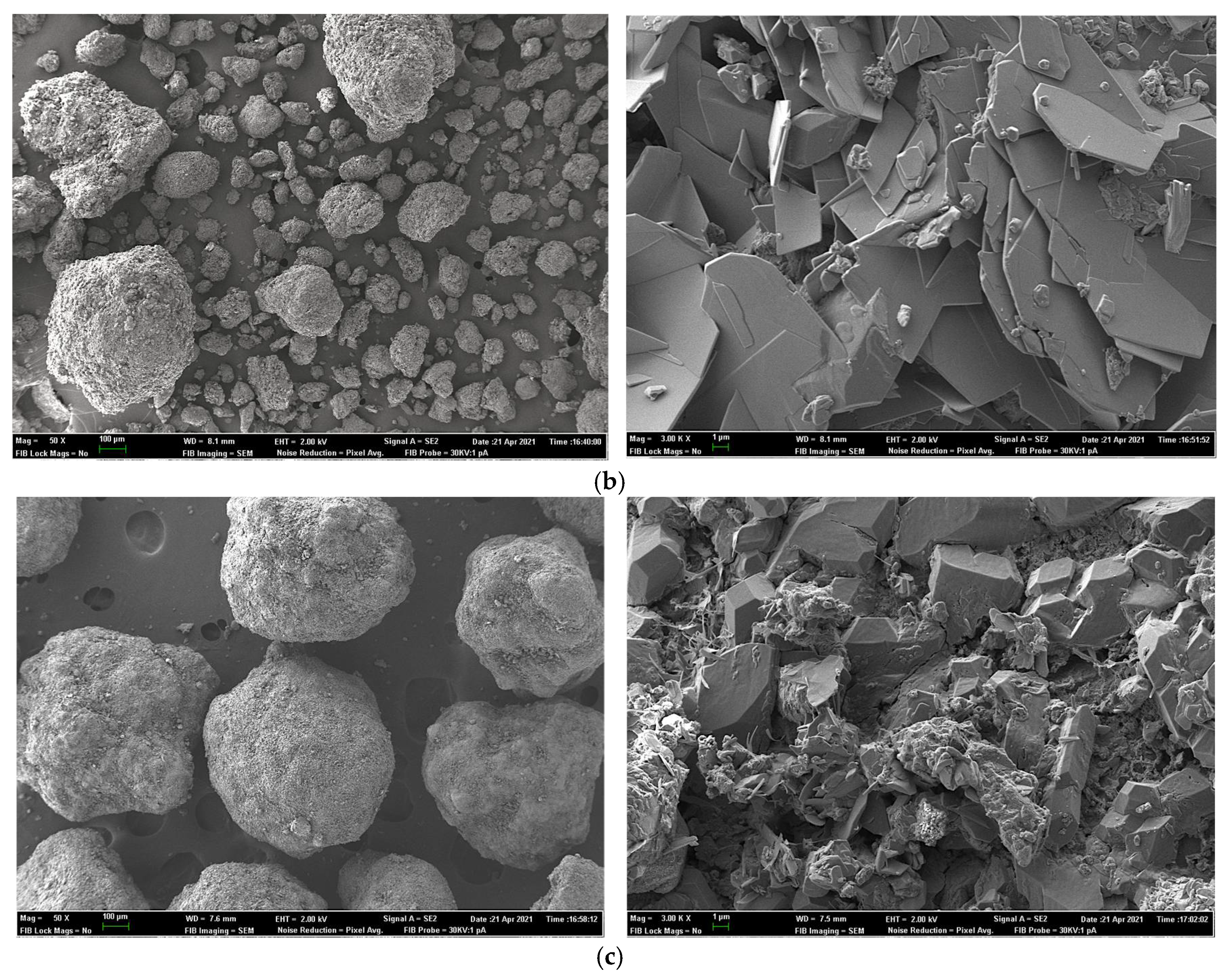 Animals 11 03427 g001b Animals 11 03427 g001b