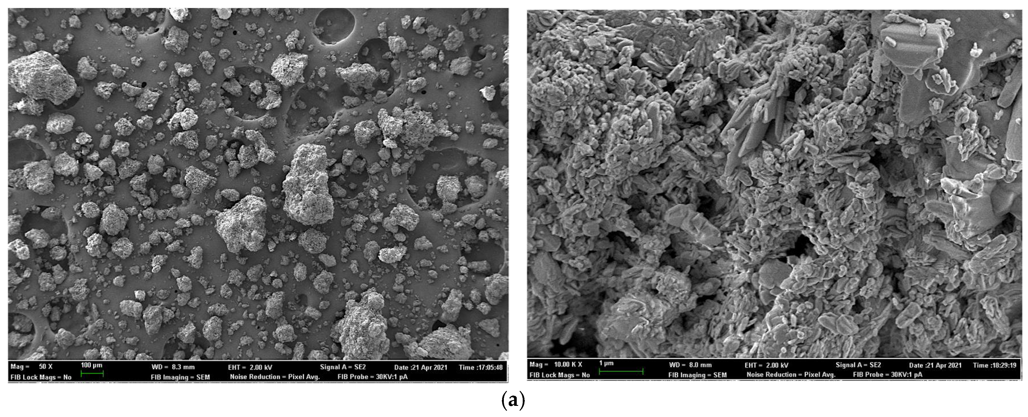 Animals 11 03427 g002a Animals 11 03427 g002a