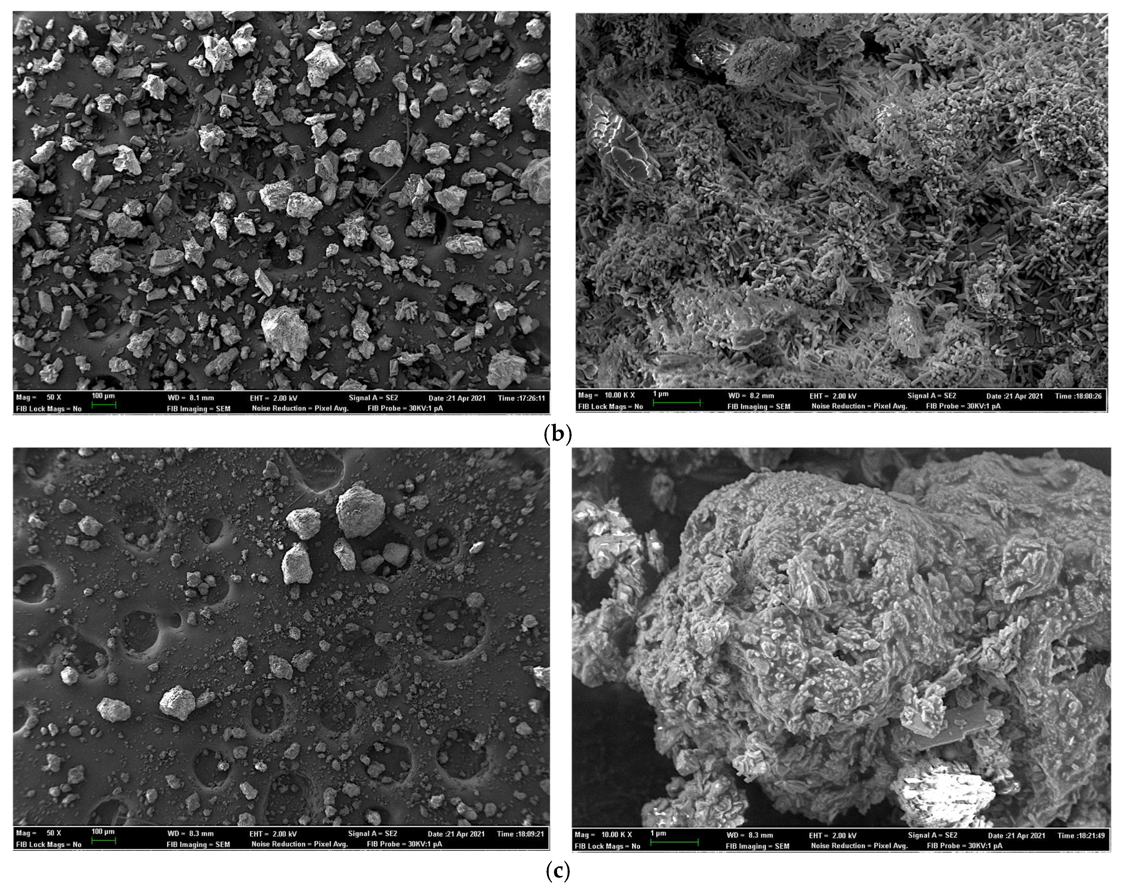 Animals 11 03427 g002b Animals 11 03427 g002b