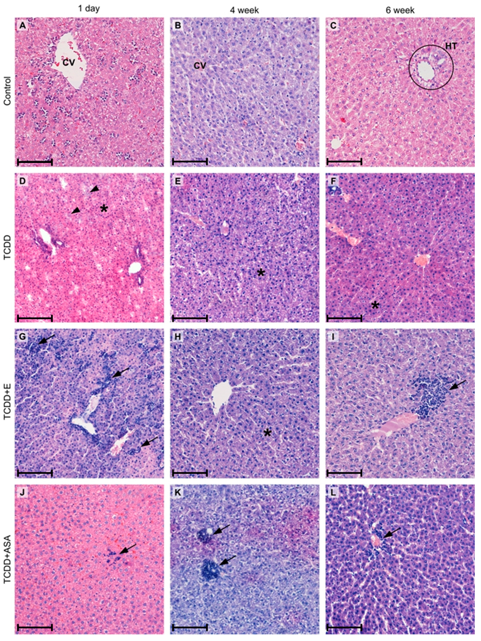 Animals 11 03430 g001 Animals 11 03430 g001