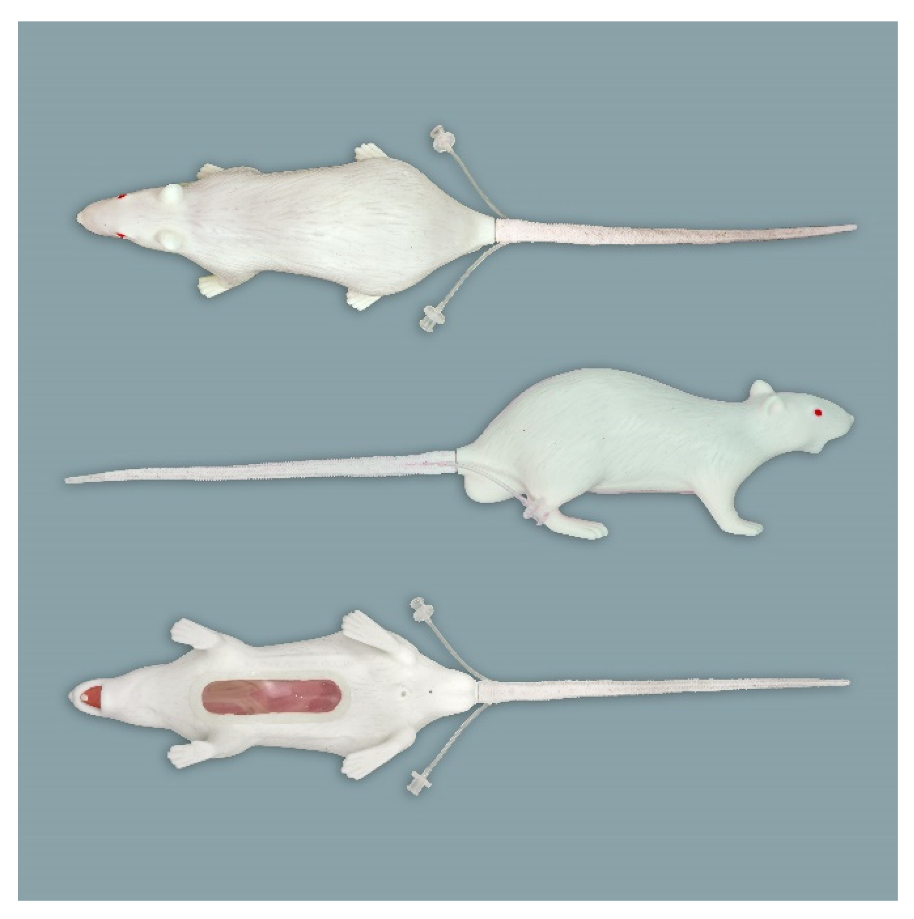 Rat Pain Models