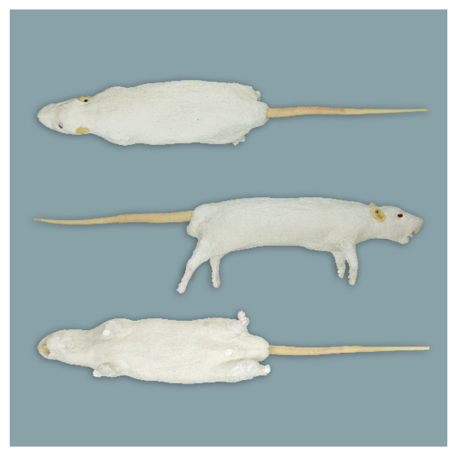 Animals 11 03432 g005 Animals 11 03432 g005