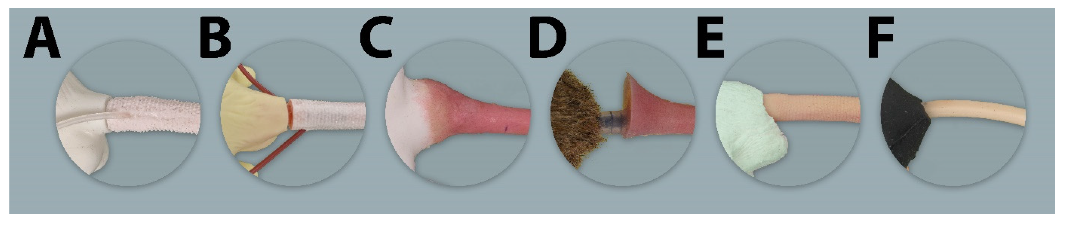 Animals 11 03432 g008 Animals 11 03432 g008