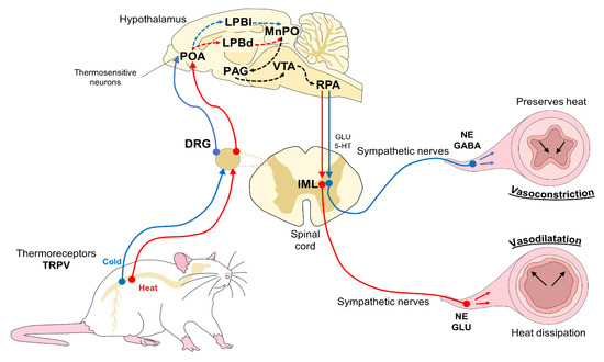 Experimental Applications and Factors Involved in Validating
