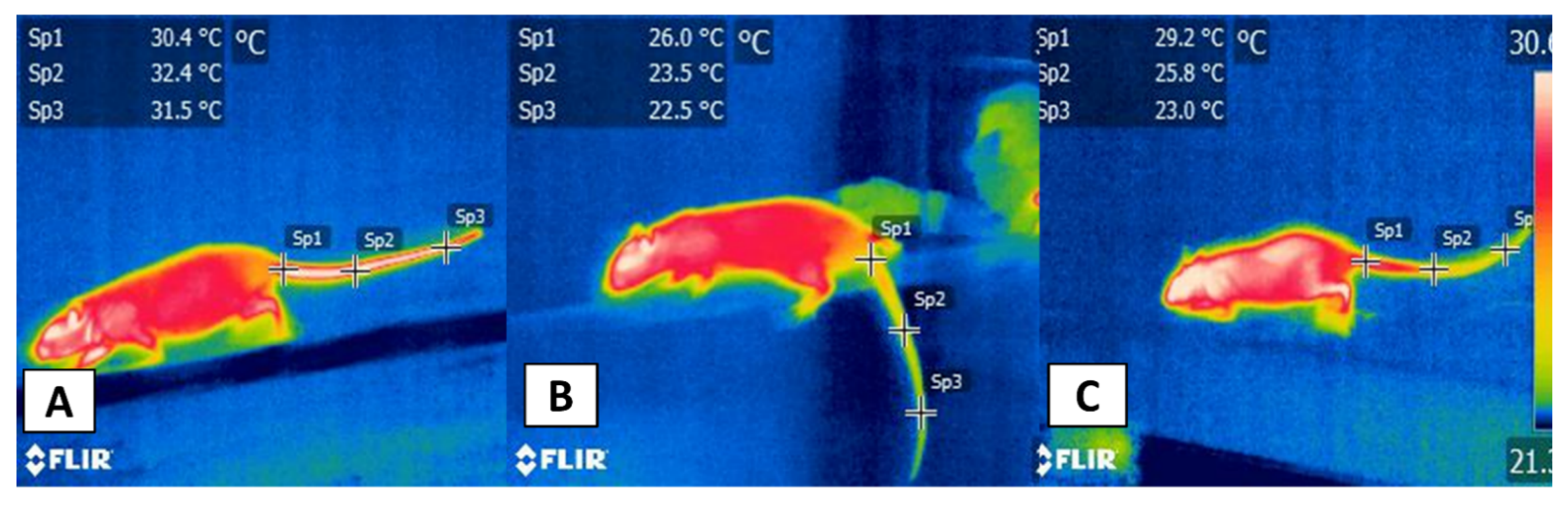 Animals 11 03448 g004