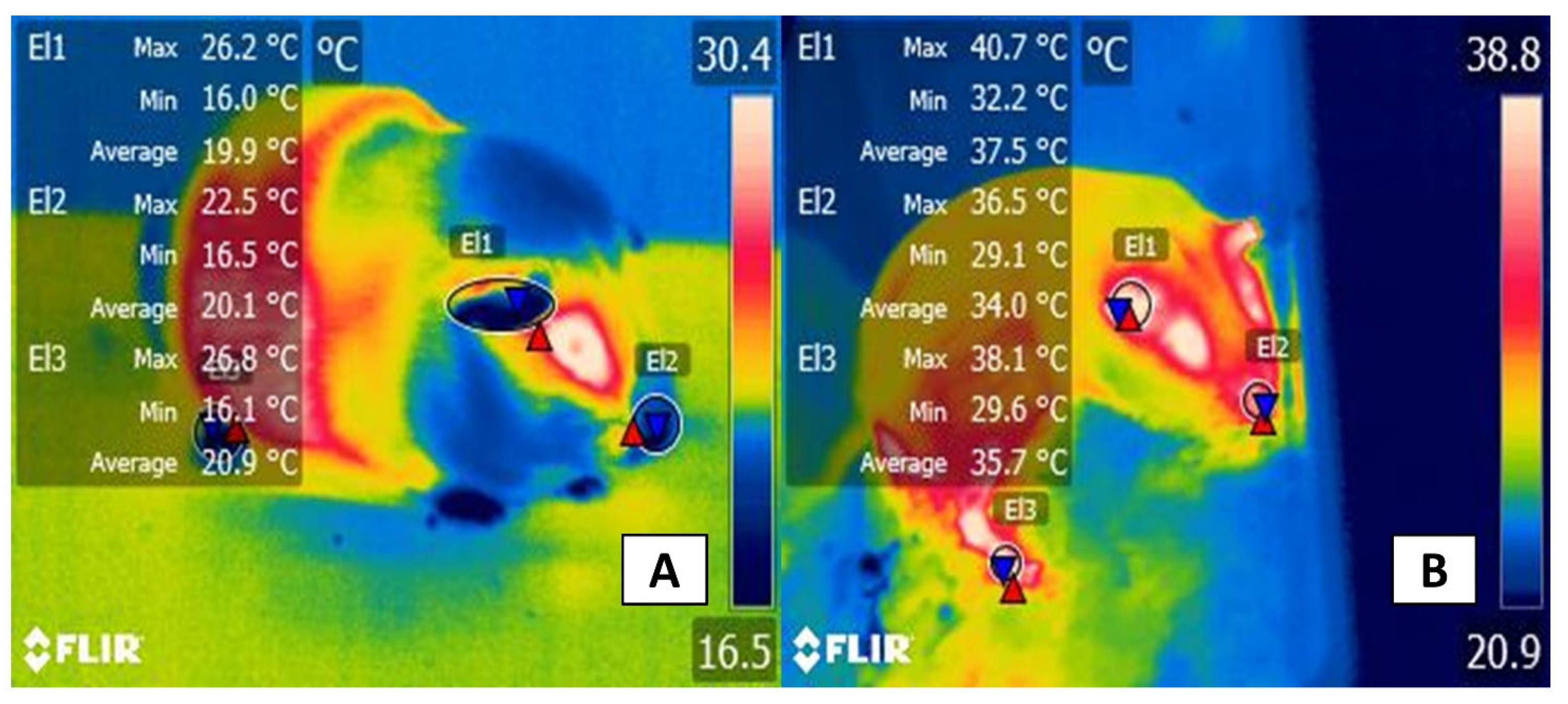 Animals 11 03448 g010