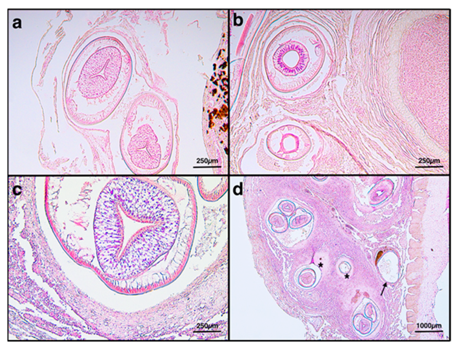 Animals 11 03449 g004 Animals 11 03449 g004